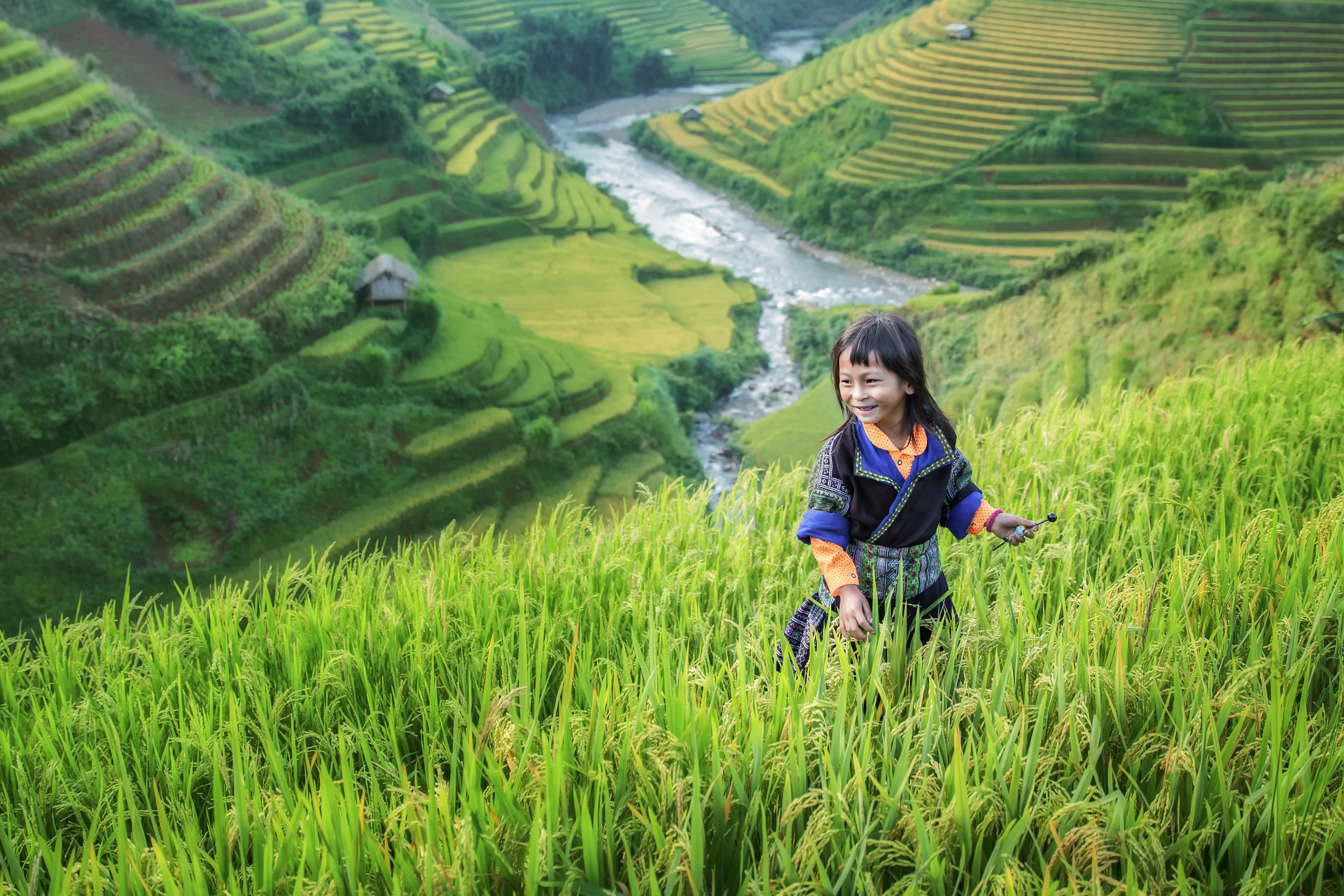 shutterstock_319942607 Girl in the terrace rice farm with countryside background.jpg