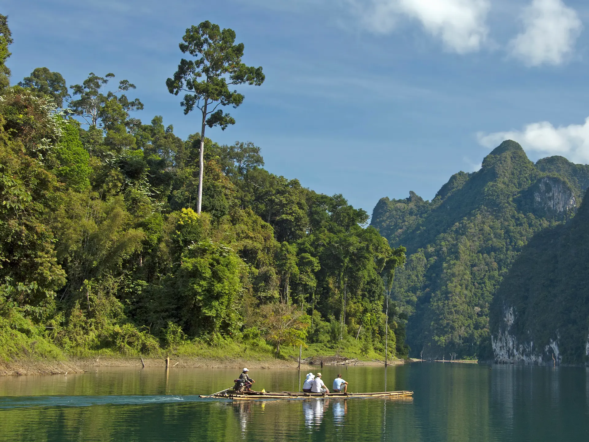 Khao Sok National Park_98304686.jpg