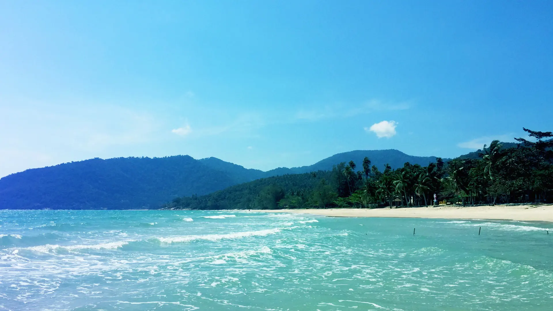 Sea View.jpg
