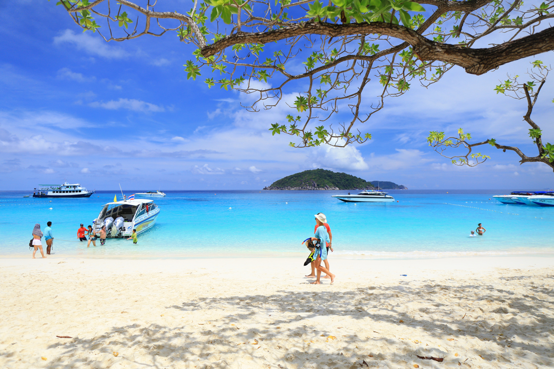 SNORKELTUR - I kan tage på snorkeltur til Similan Island fra både Khao Lak og Koh Kho Khao. Her er der koraller, farverige fisk og til tider havskildpadder, Check Point Travel