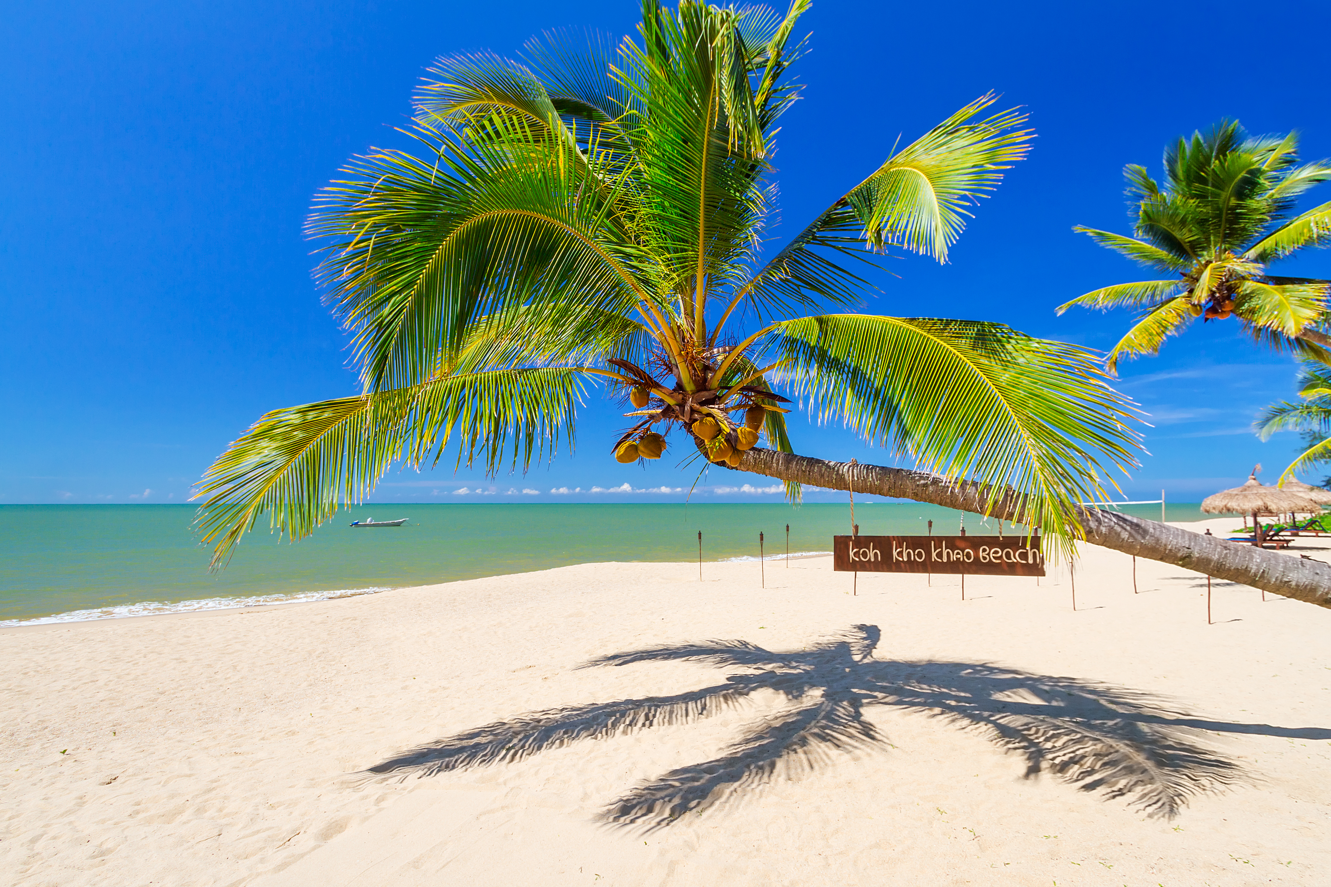 Tropical palm tree on the beach of Koh Kho Khao island, Thailand_142378144.jpg