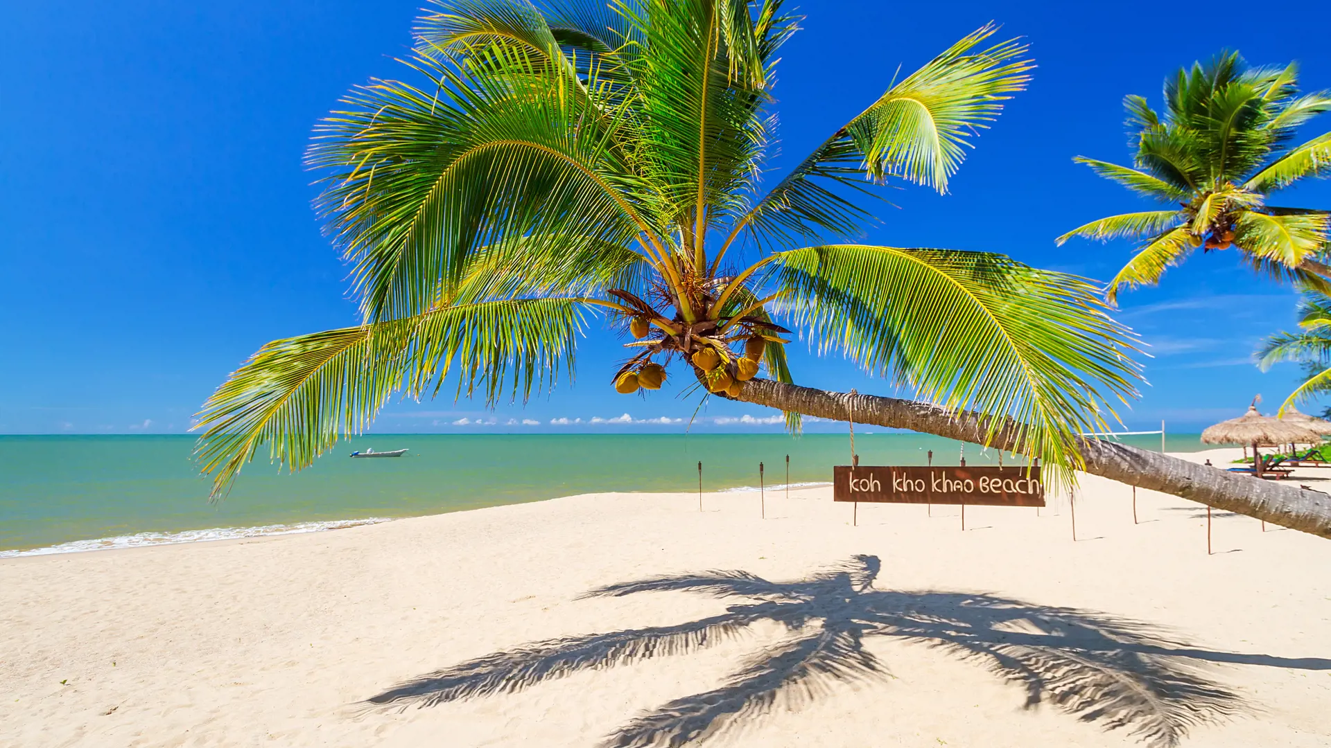 Tropical palm tree on the beach of Koh Kho Khao island, Thailand_142378144.jpg