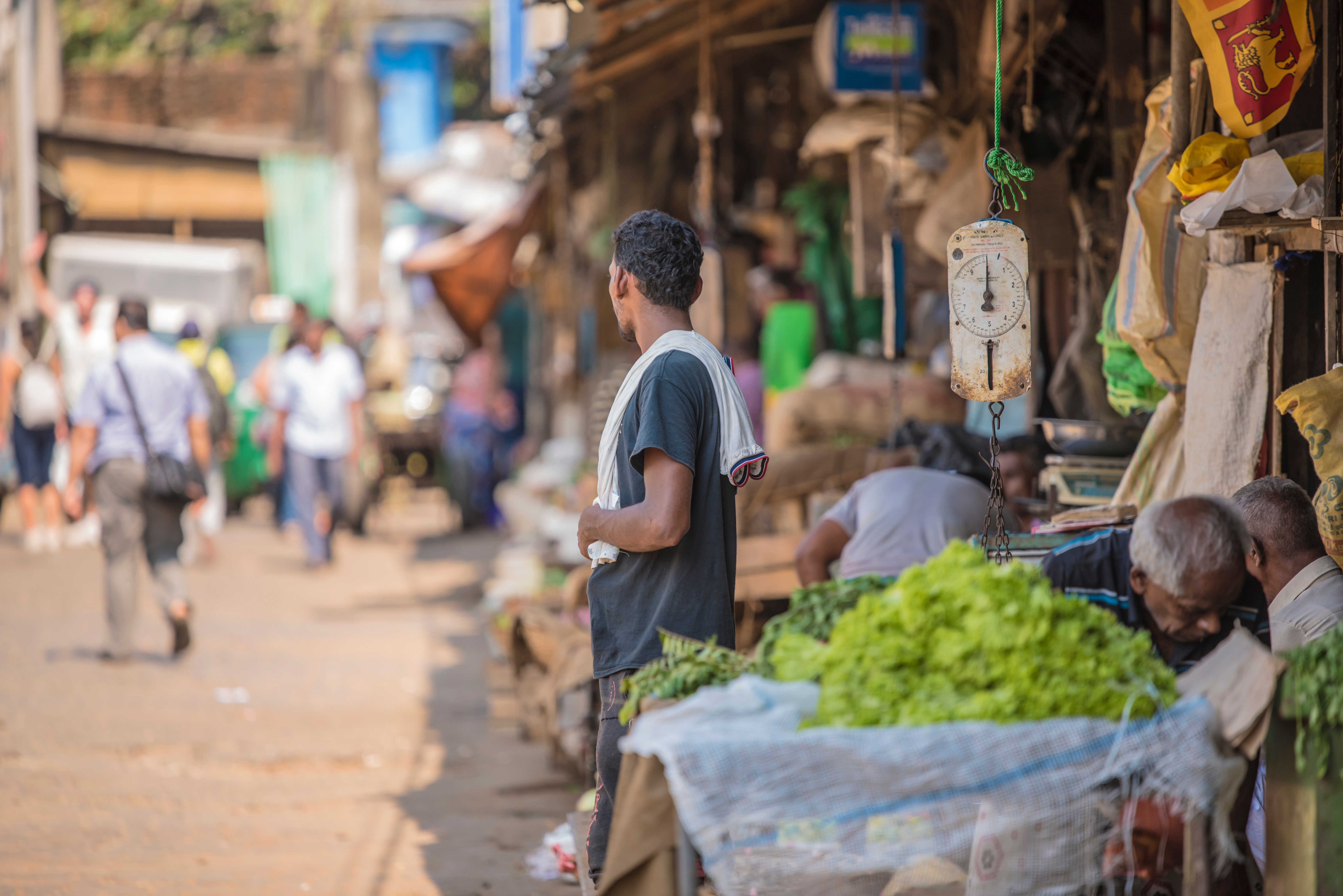 Shutterstock 1883909722