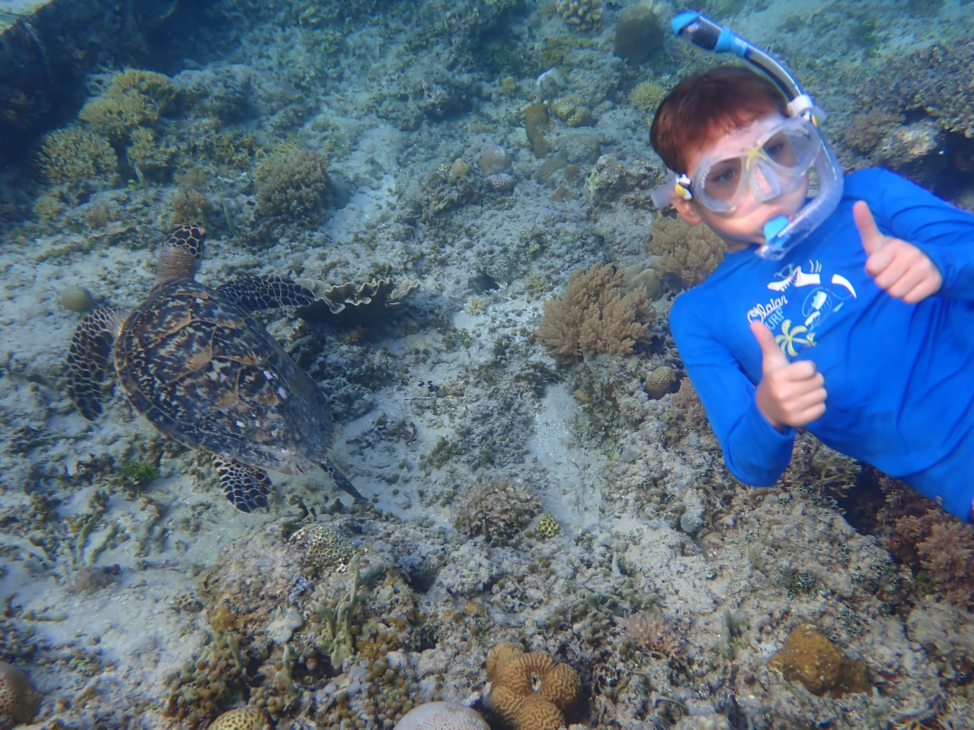 Shutterstock 2298479671 (Gili Air, Indonesia July 2022 Kid Is Snorkeling With A Turtle In The Sea)