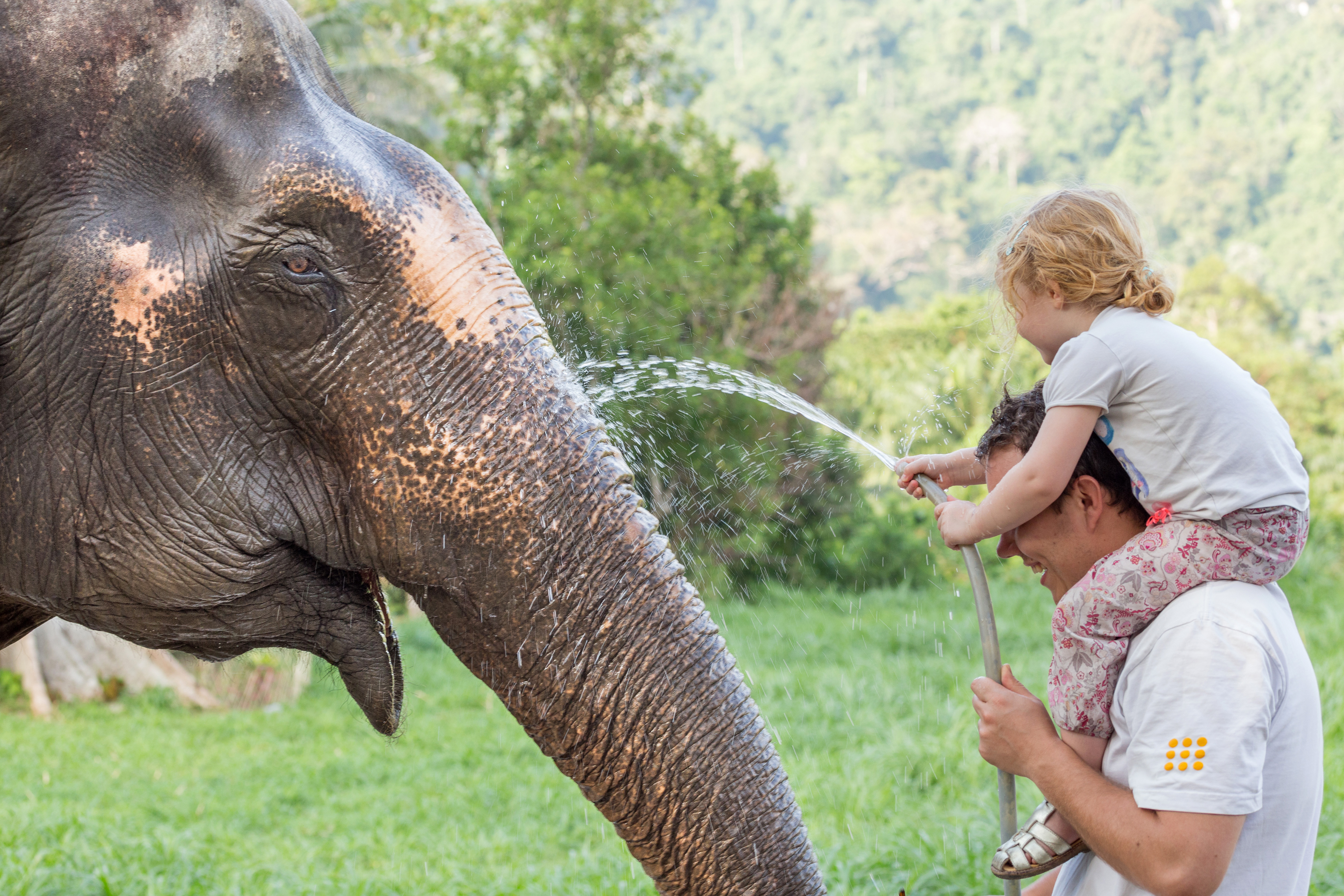 Ethical Elephant Experience at Elephant Hills with children.jpg