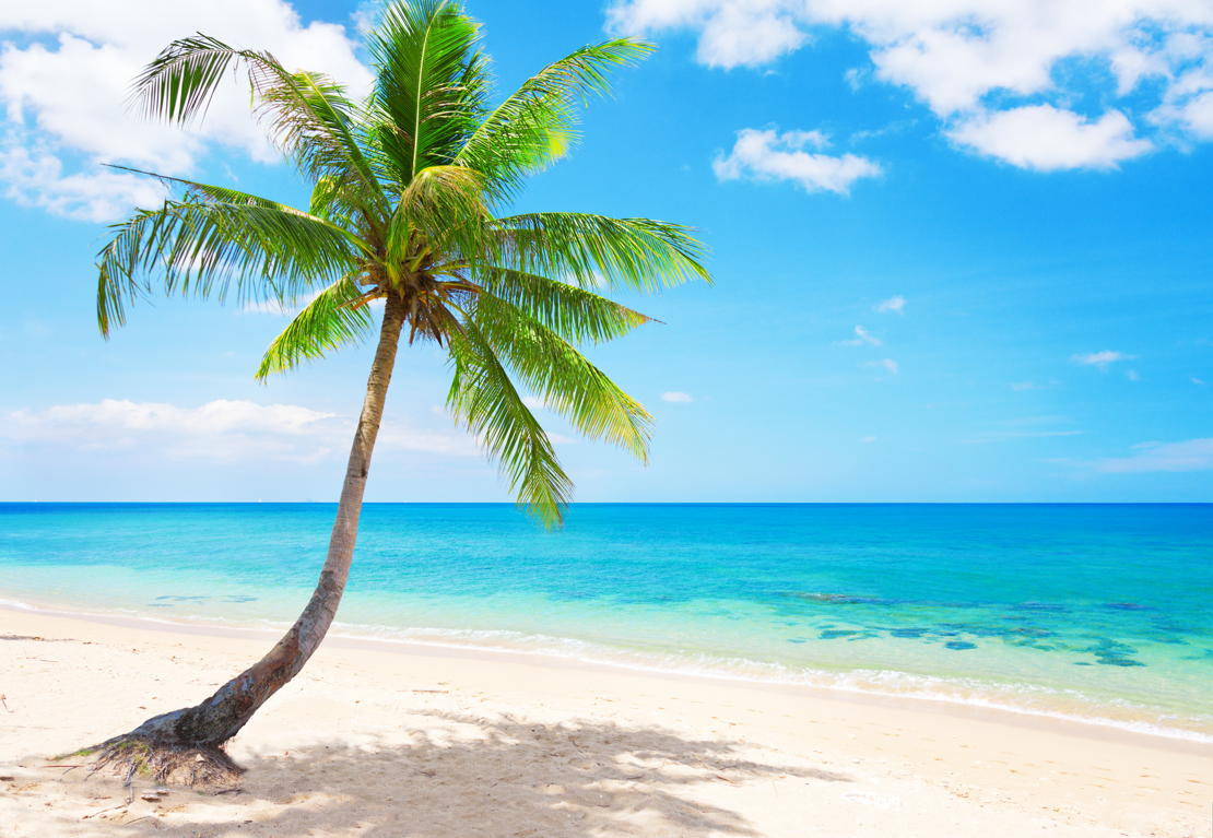 shutterstock_92801089 beautiful beach with coconut palm. Koh Lanta, Thailand.jpg