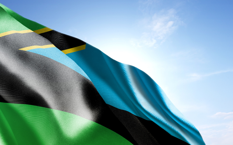 Zanzibar Flag (1)
