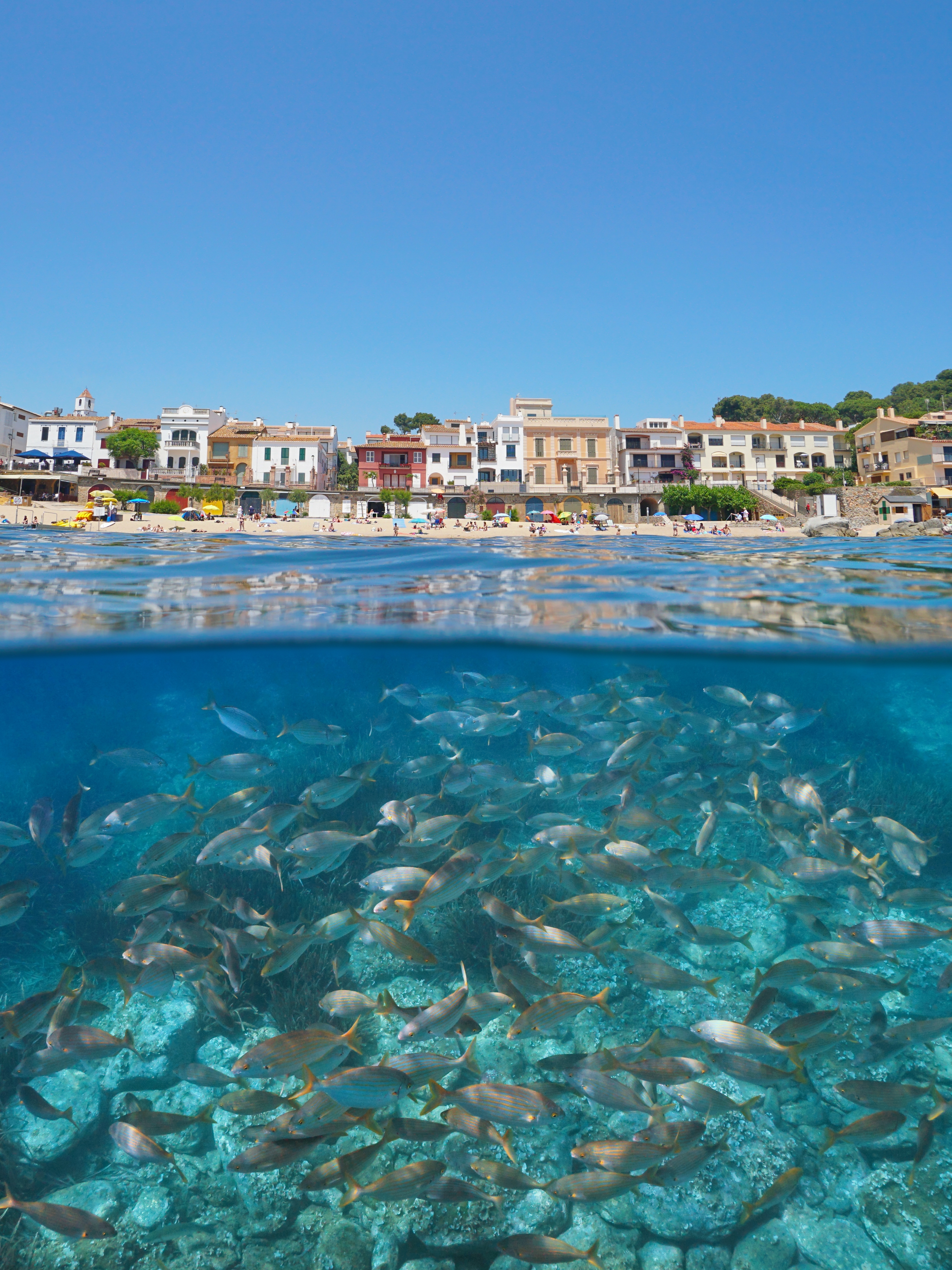 Palafrugell Shutterstock 2511250719