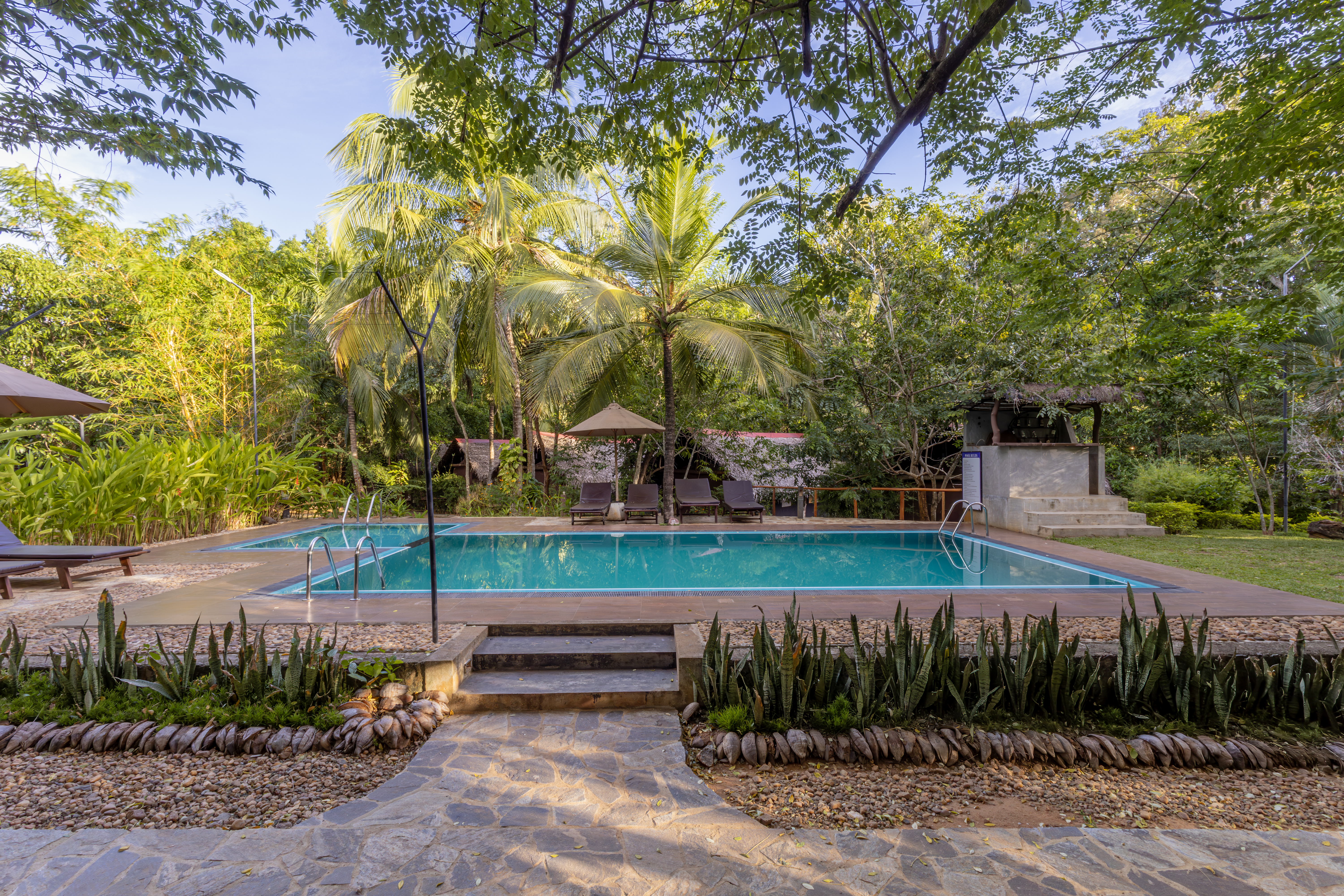 IMG 5162 Enhanced NR FINAL Athgirarivercamp Thadshanyogesarchphotography