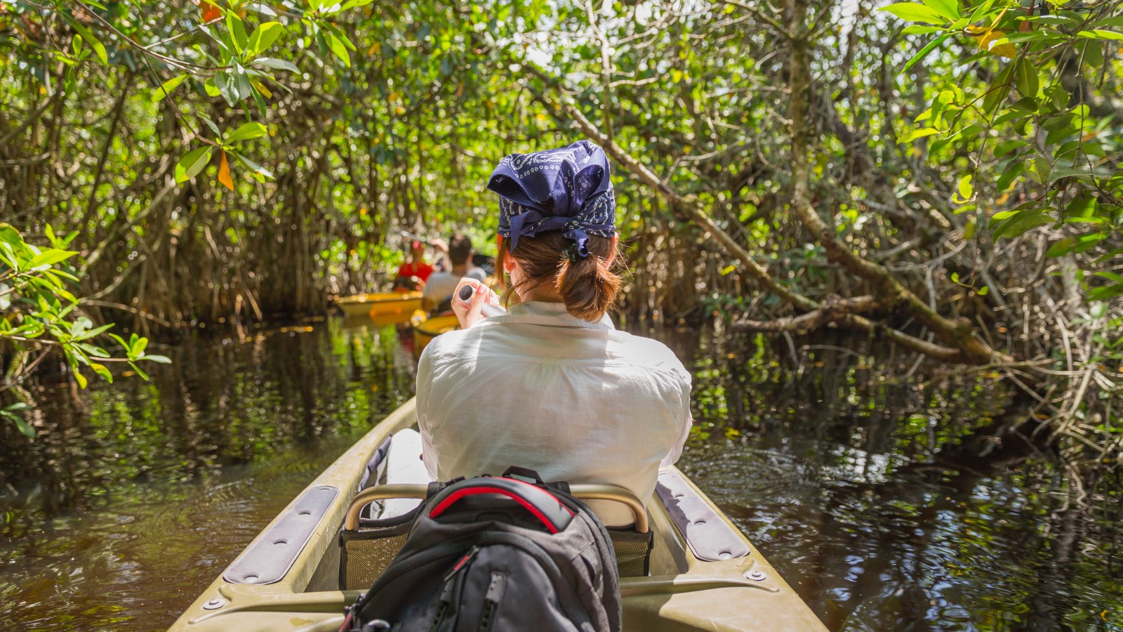 På Tur I Kajak I Everglades National Park Florida Usa