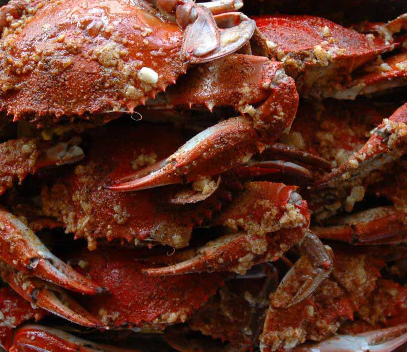 DSC 0093223171201 Std.136113313 Std