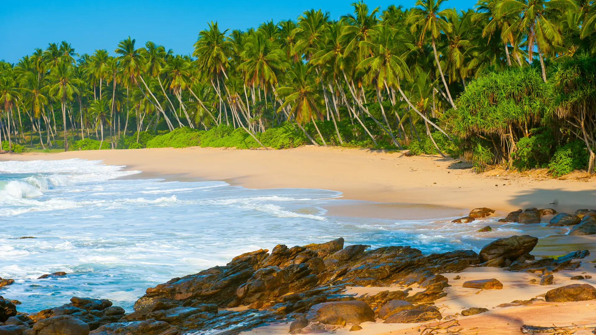 Shutterstock 111592046 (Tropical Beach Near Tangalle, Sri Lanka. Stones At Foreground)