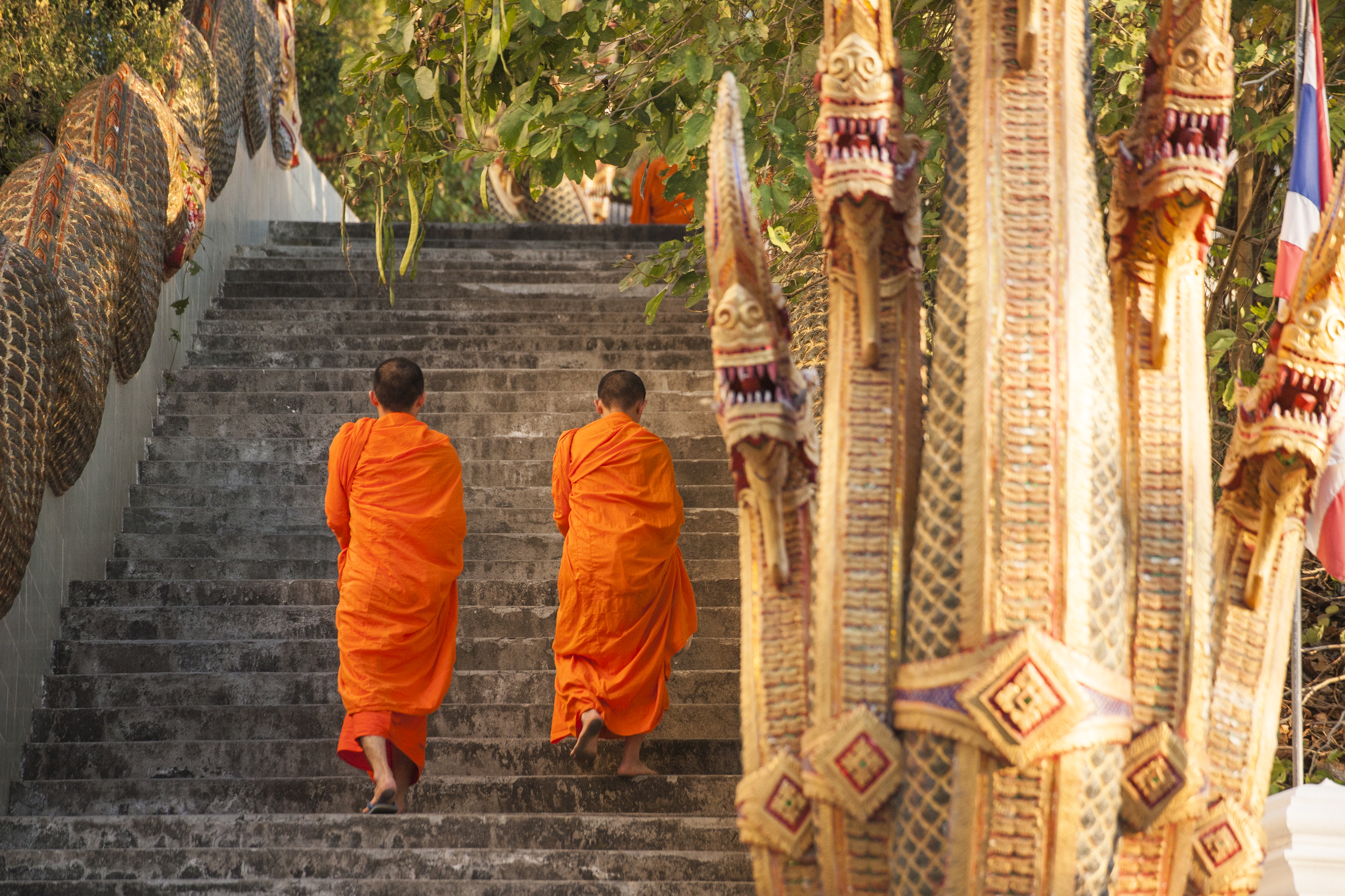 Chiang Mai Monks Climb Up Doi Suthep
