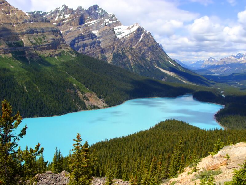 peyto lake.jpg