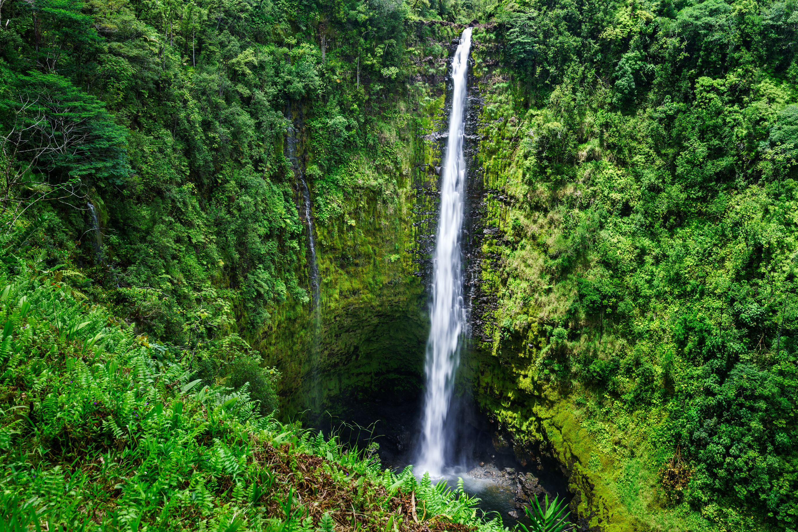 shutterstock_155216363 Akaka falls close to Hilo, Big Island, Hawaii.jpg