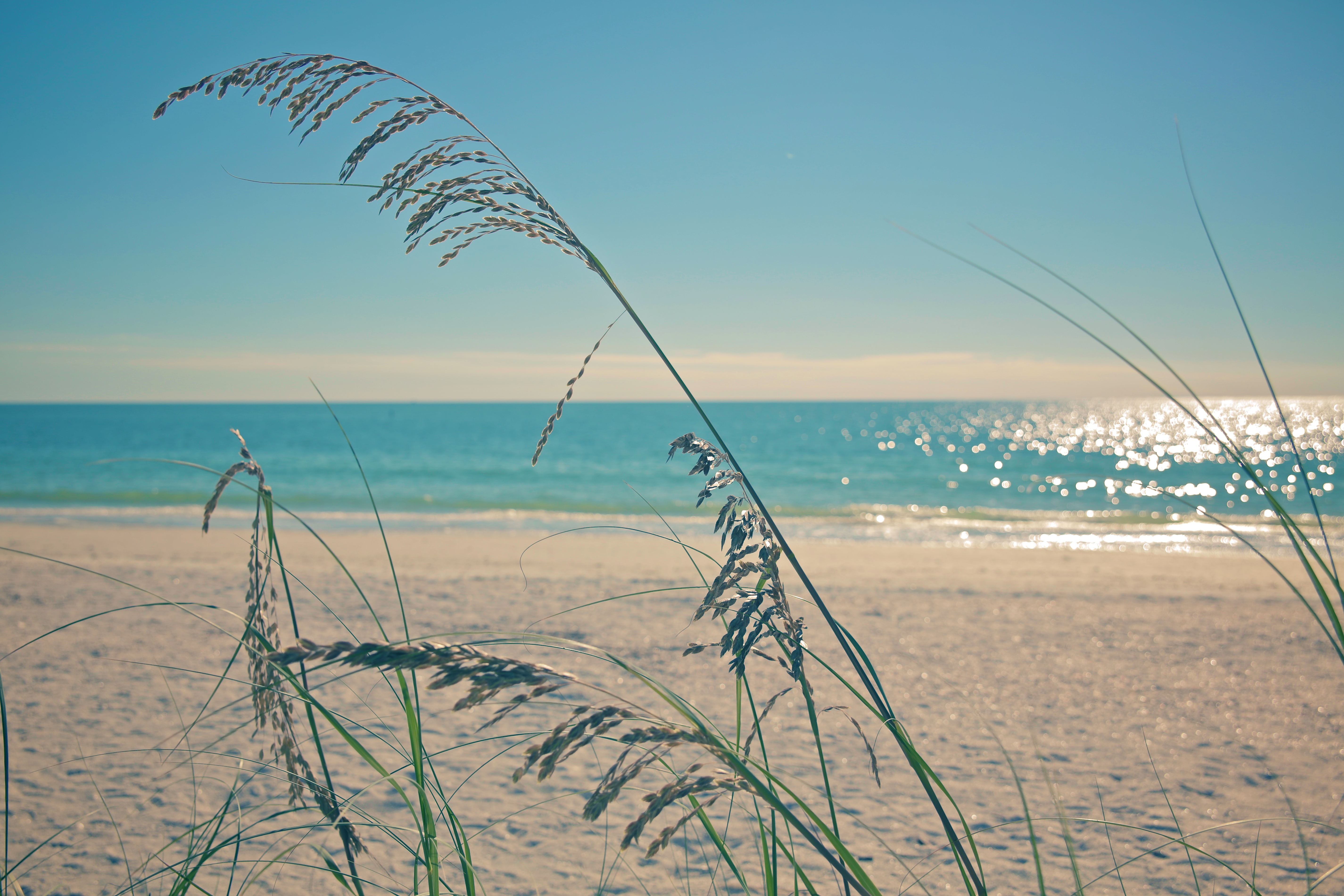Fort myers beach.jpg