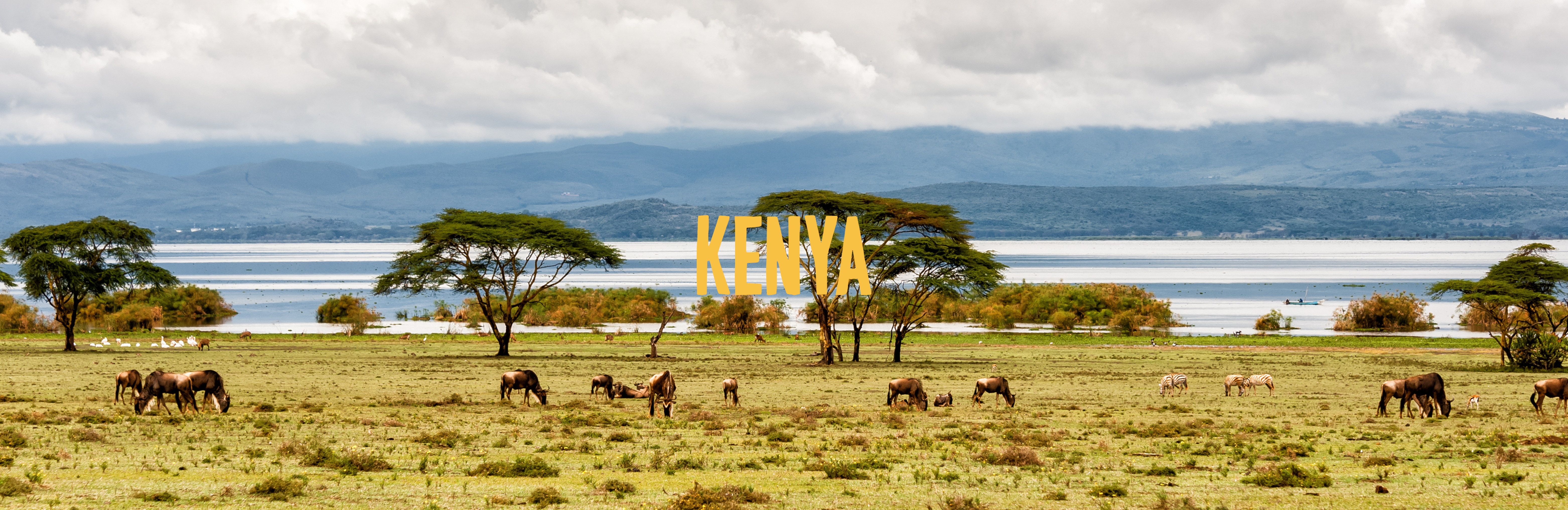 Kenya 1