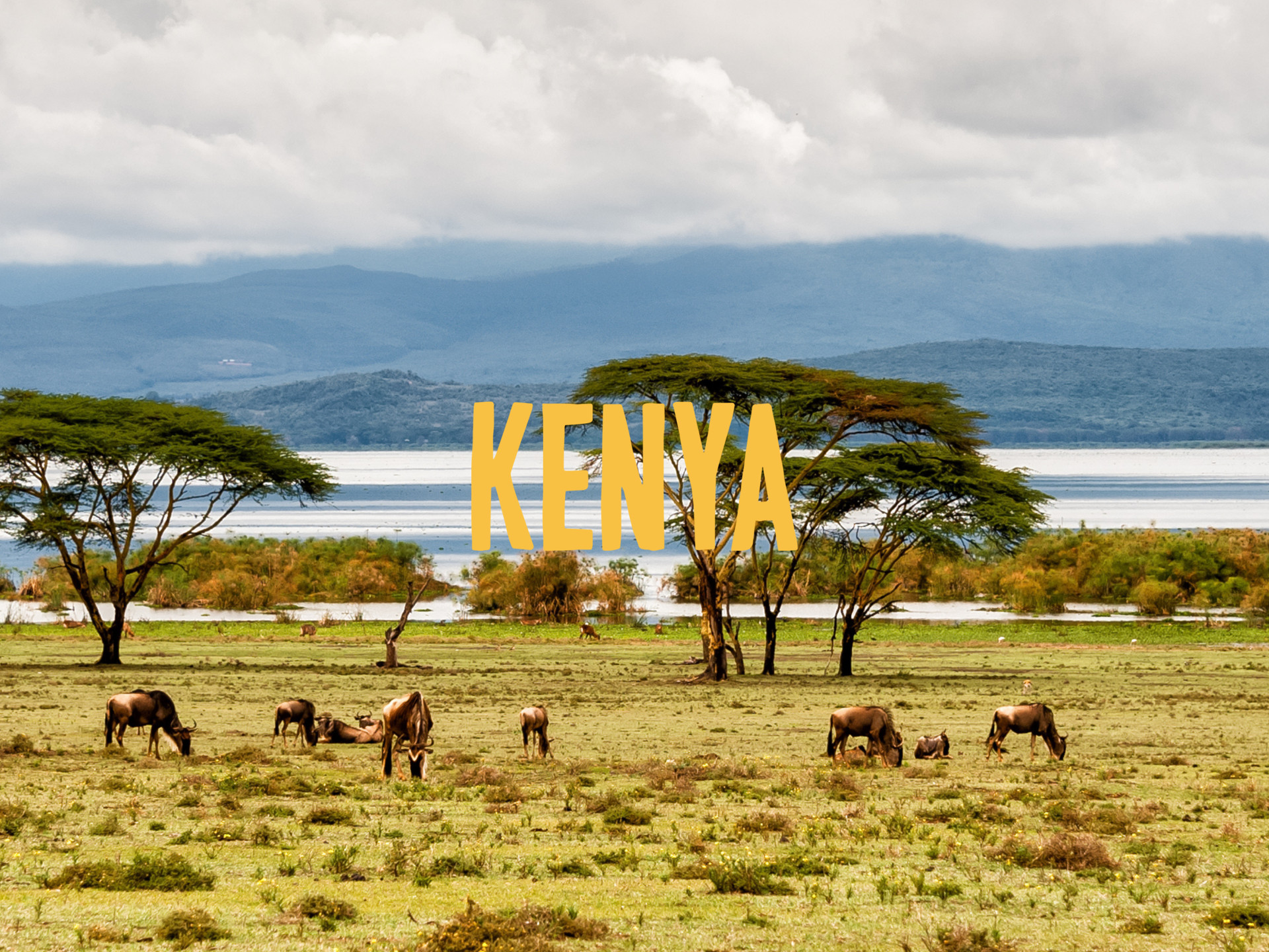 Kenya 1
