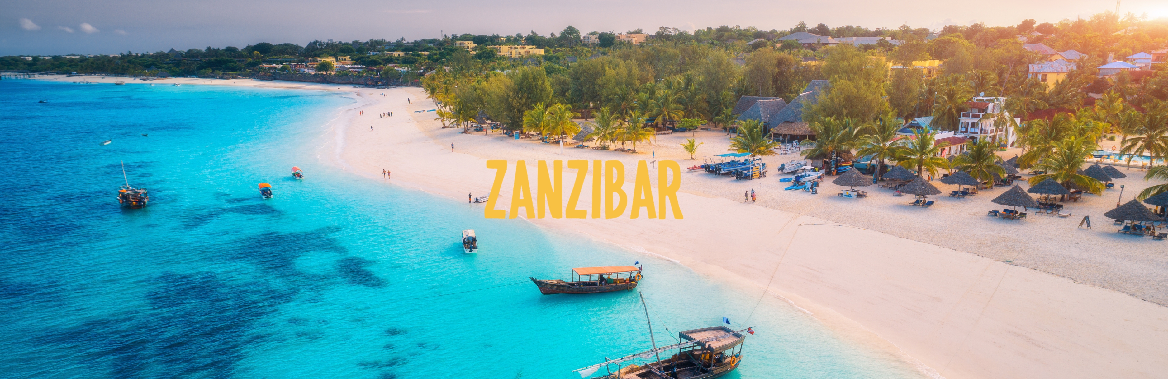 Rejser til Zanzibar