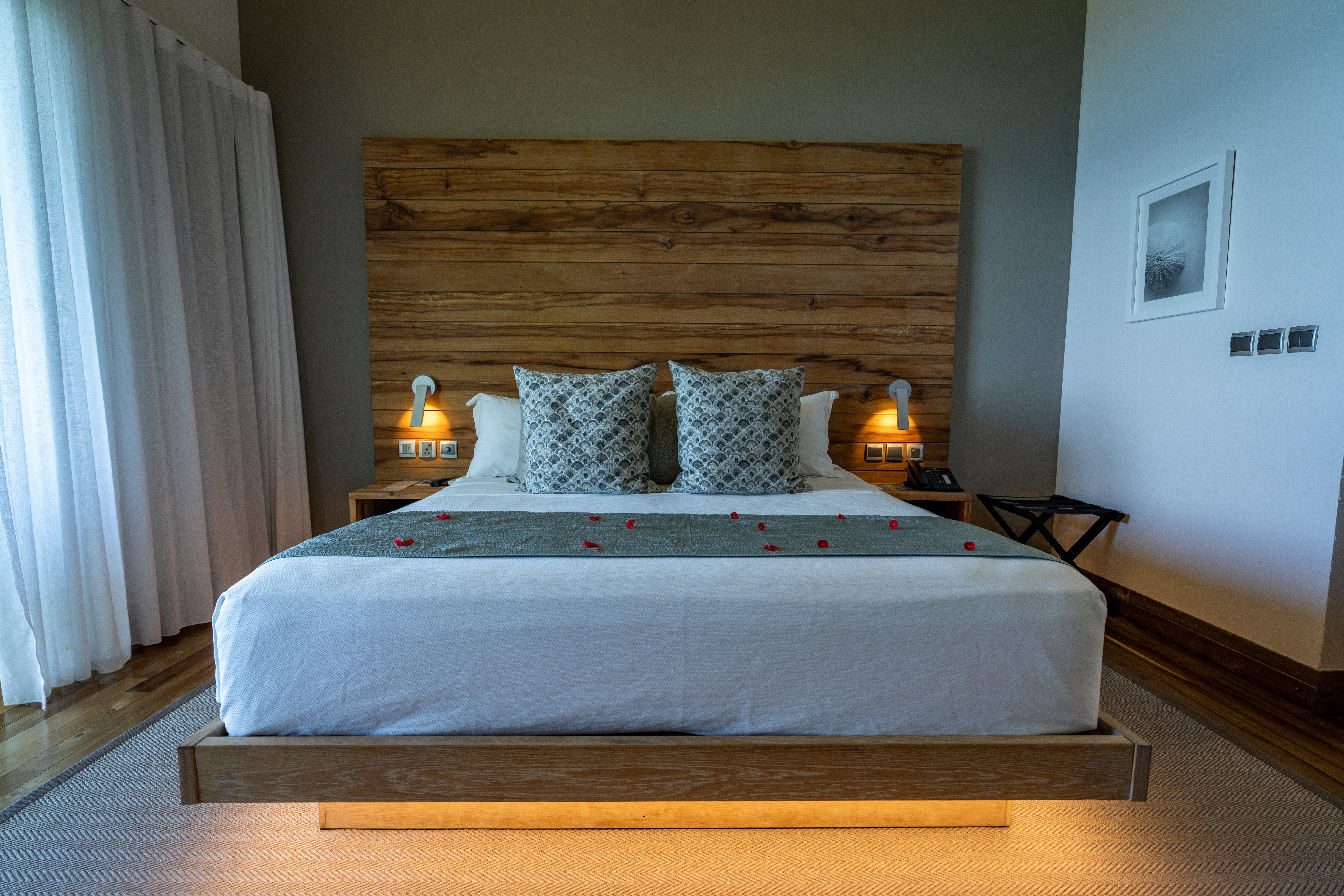 Seychelles November A7r4199