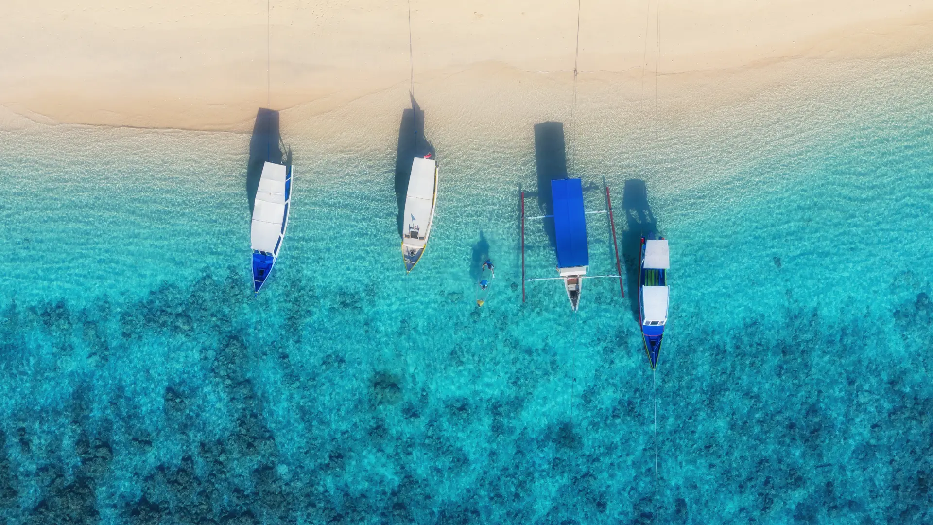 Shutterstock 1368778361