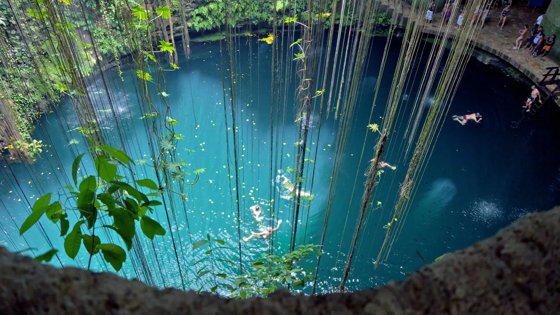 Cenote Ik-Kil 02.jpg