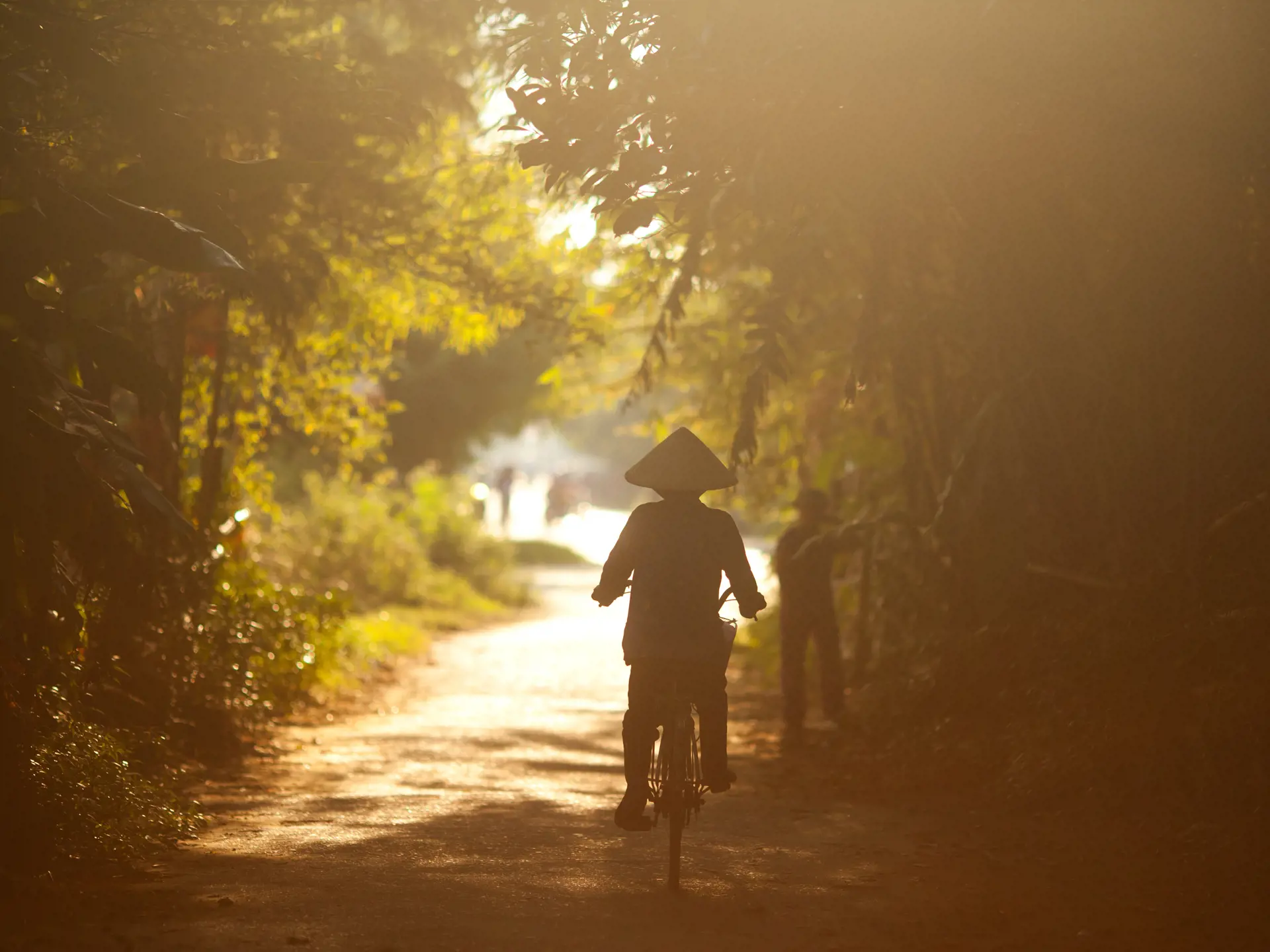 shutterstock_541408036 A woman rides her bicycle on a small road close to Hoi An, Vietnam..jpg