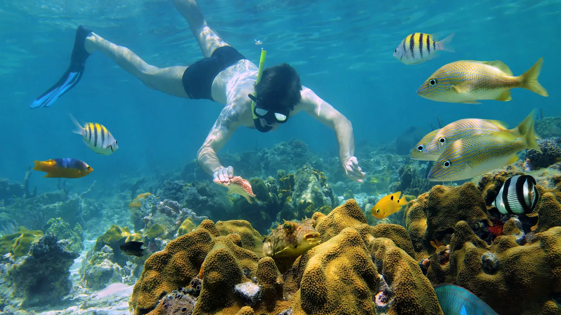 Snorkeling 02.jpg