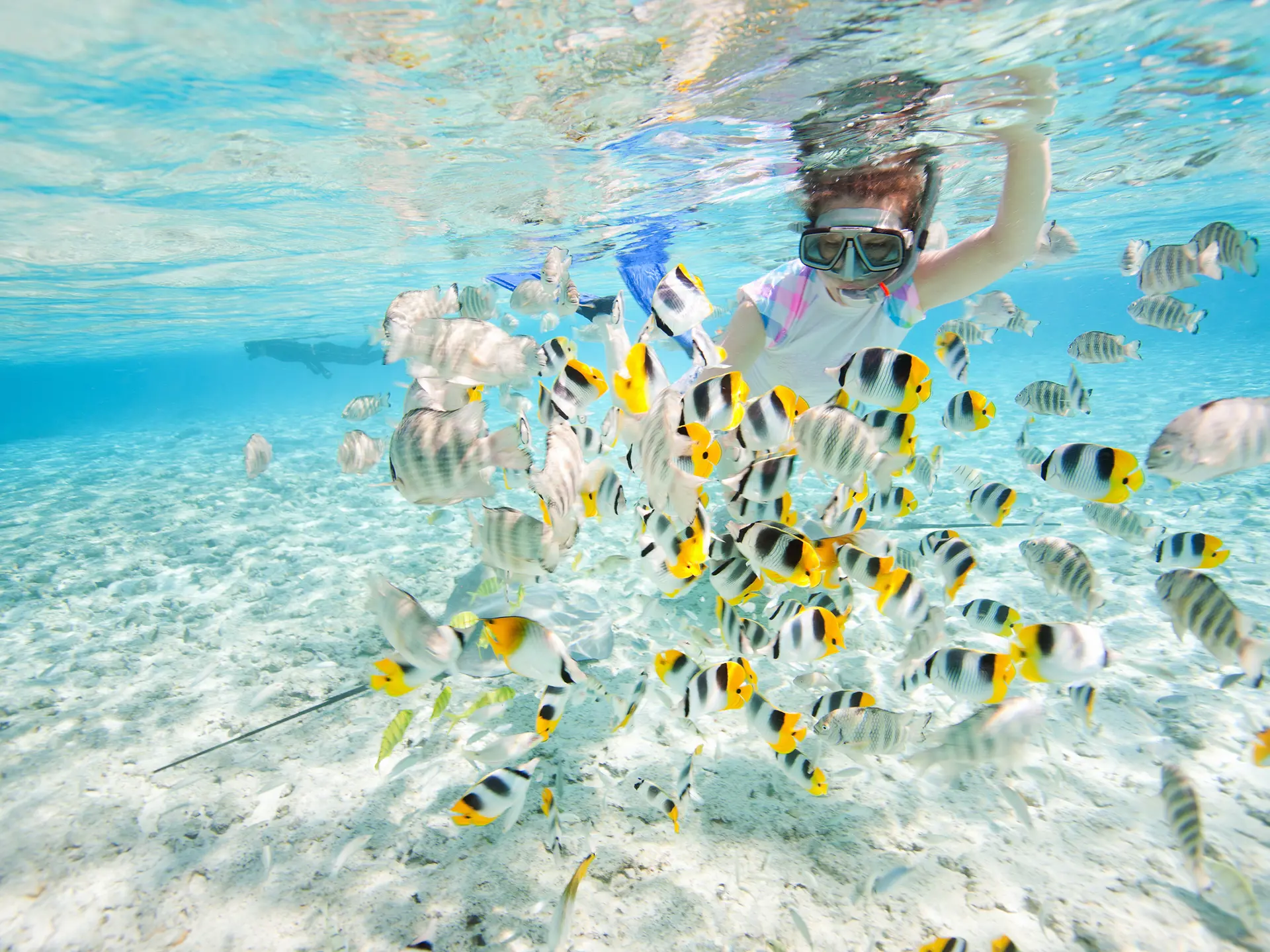 Snorkeling 03.jpg