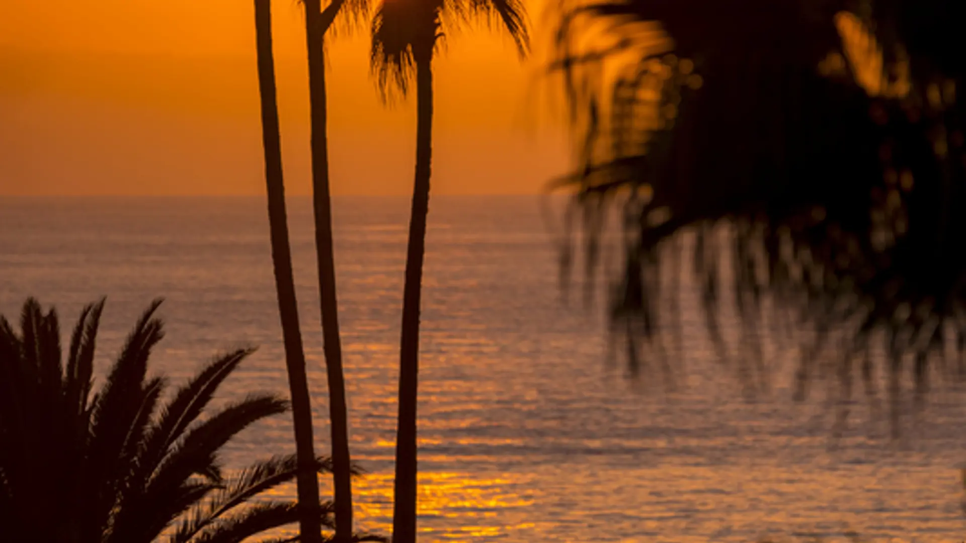 USA - Californien - Highway 1 - Laguna Beach - Visit California (12).jpg