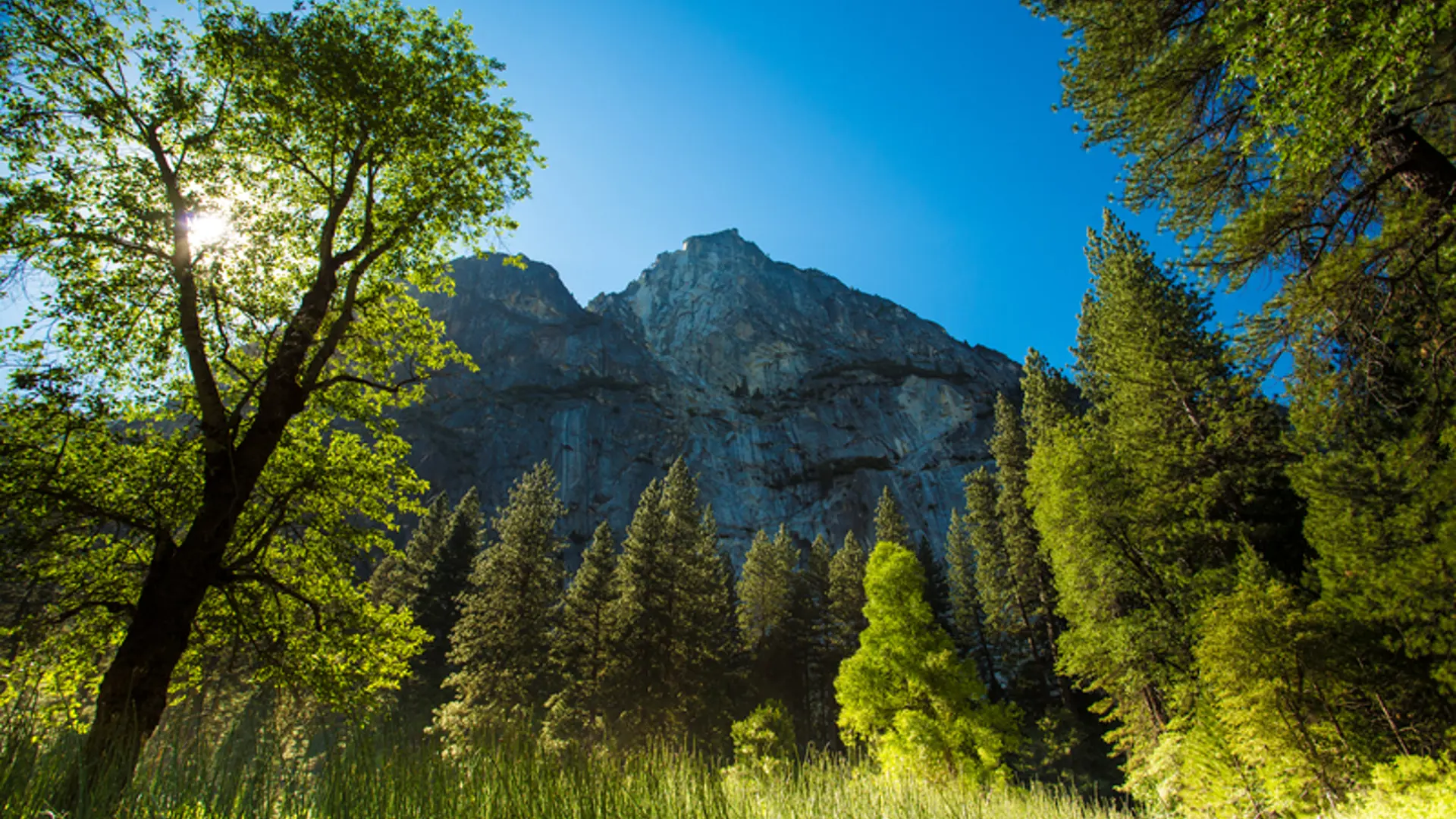 USA - Californien - Yosemite - Visit California (30).jpg