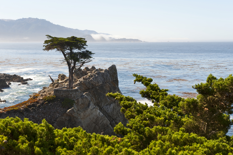 USA - Californien - Highway 1 - 17 mile drive - Carmel - The Line Cypress - Visit California (35).jpg