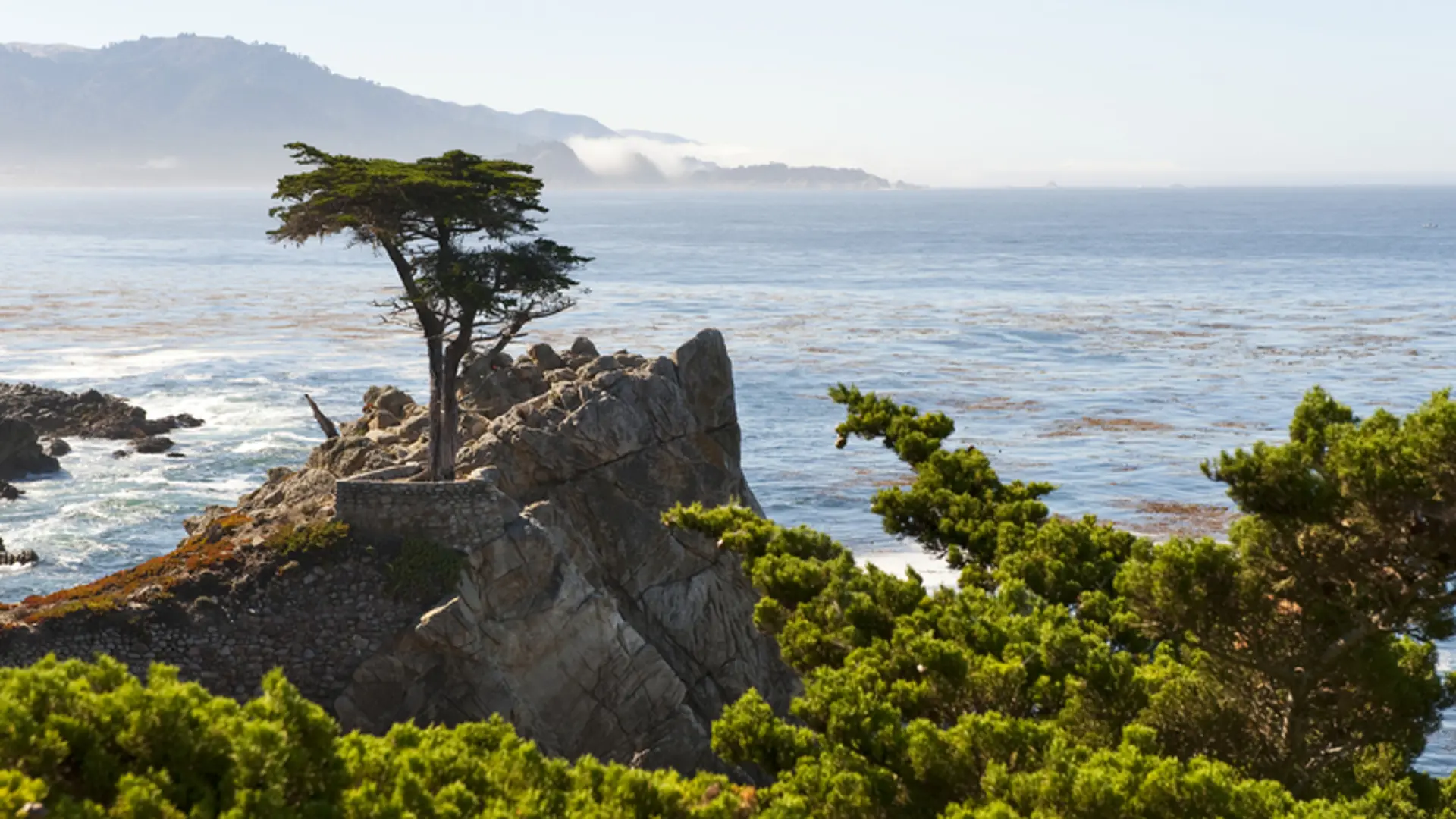USA - Californien - Highway 1 - 17 mile drive - Carmel - The Line Cypress - Visit California (35).jpg