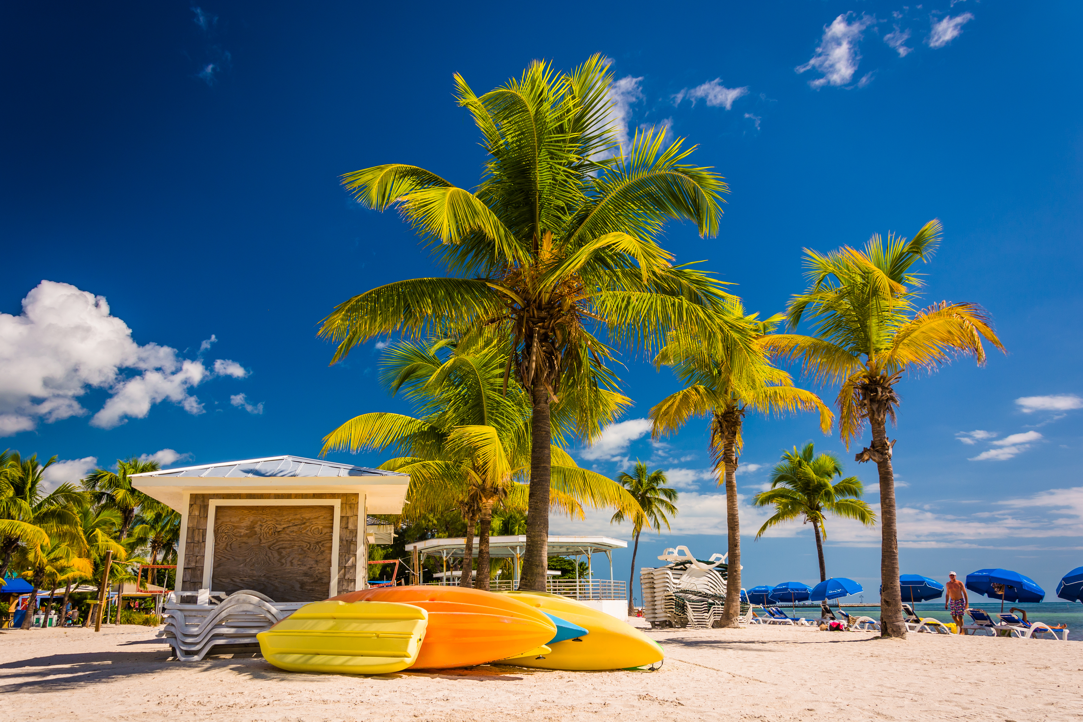 shutterstock_231696448 Palm trees on the beach in Key West, Florida..jpg