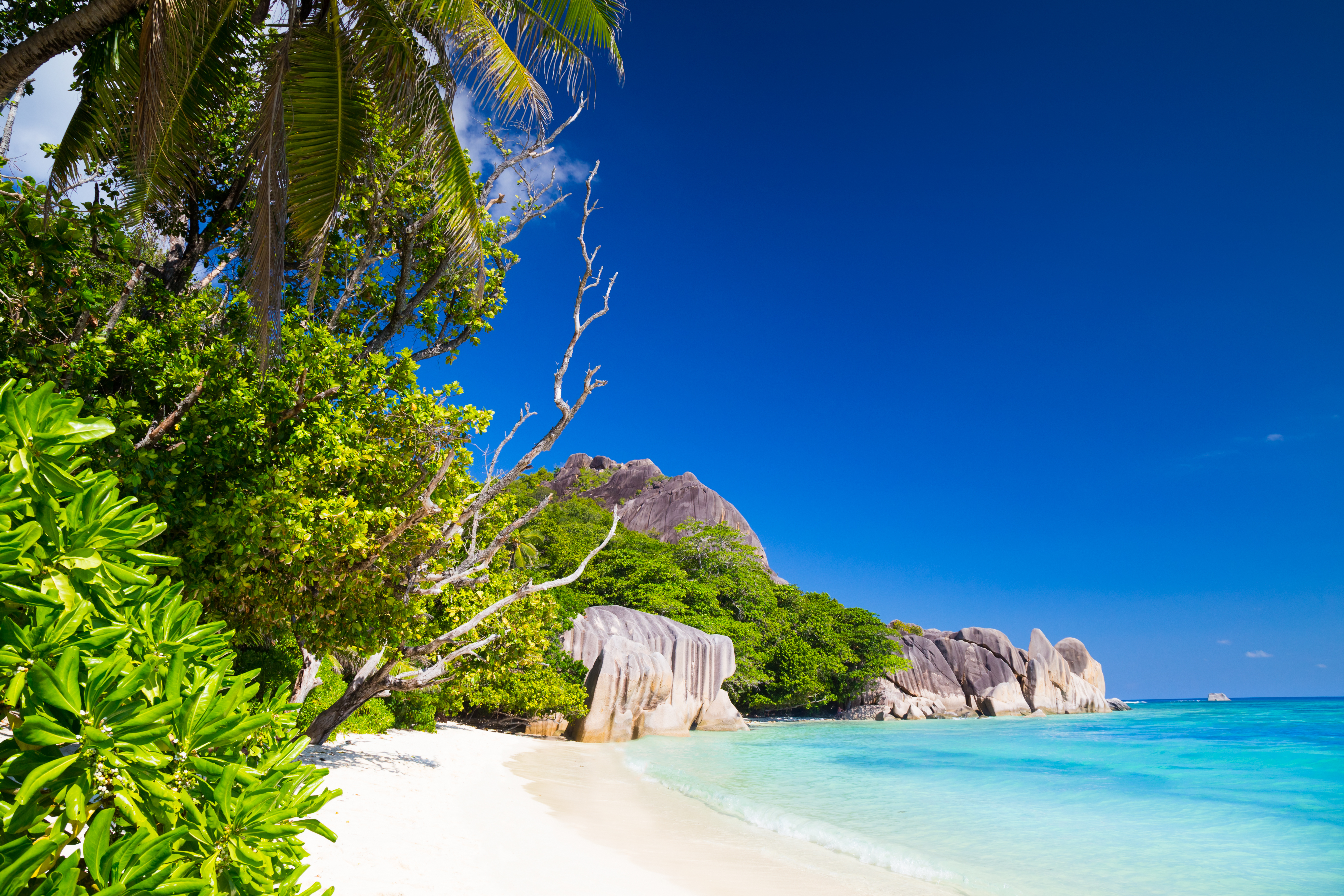 shutterstock_668853700 White sand of a wide beach in tropical paradise of Anse Source d'Argent on La Digue Island, Seychelles.jpg