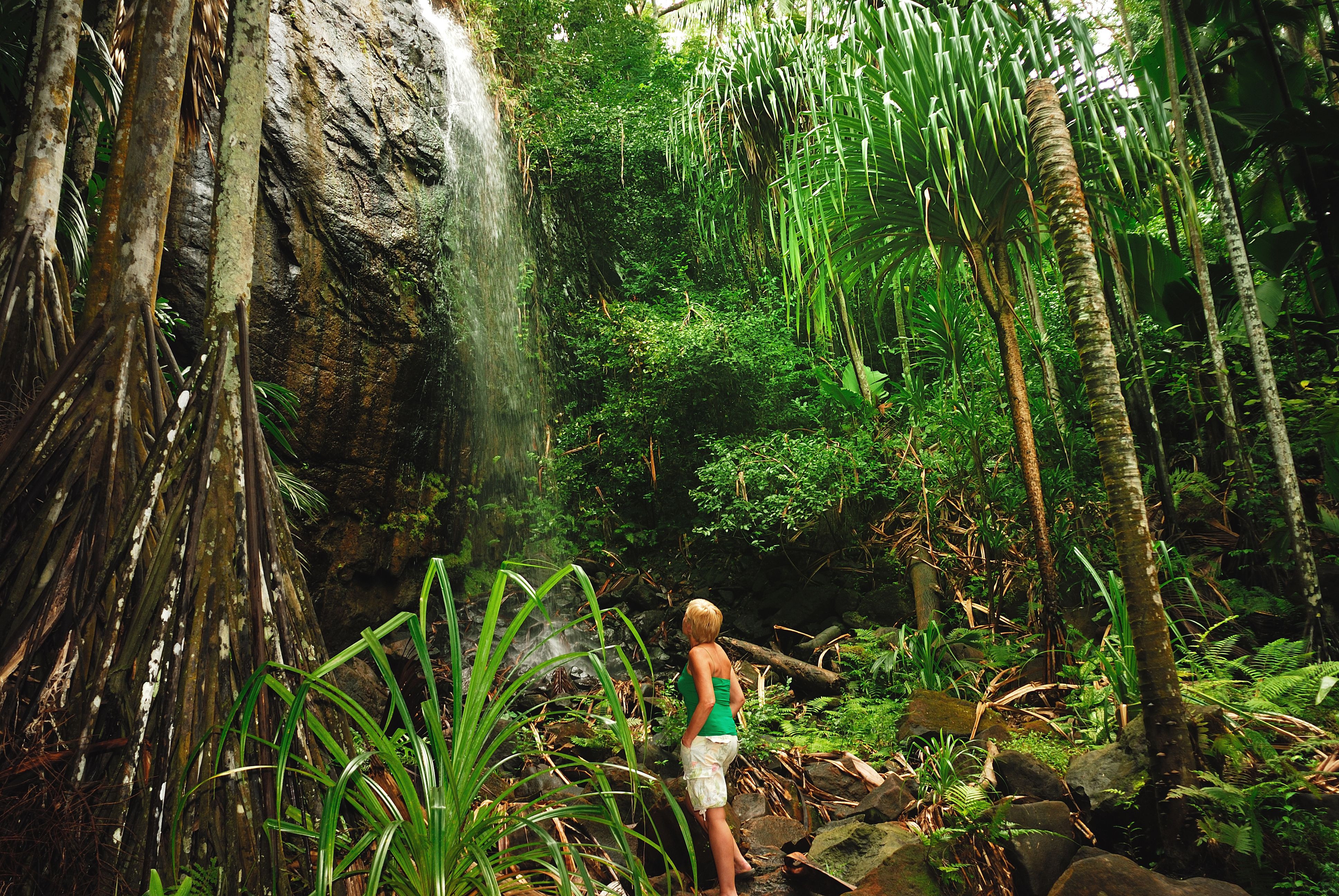 325_IMG28 Woman & Waterfall Valle De Mai_3872x2592.jpg