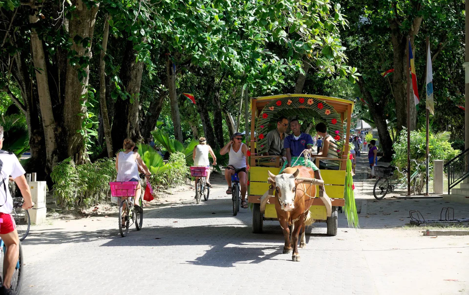 209_STB 4 Oxcart La Digue_5760x3840.jpg