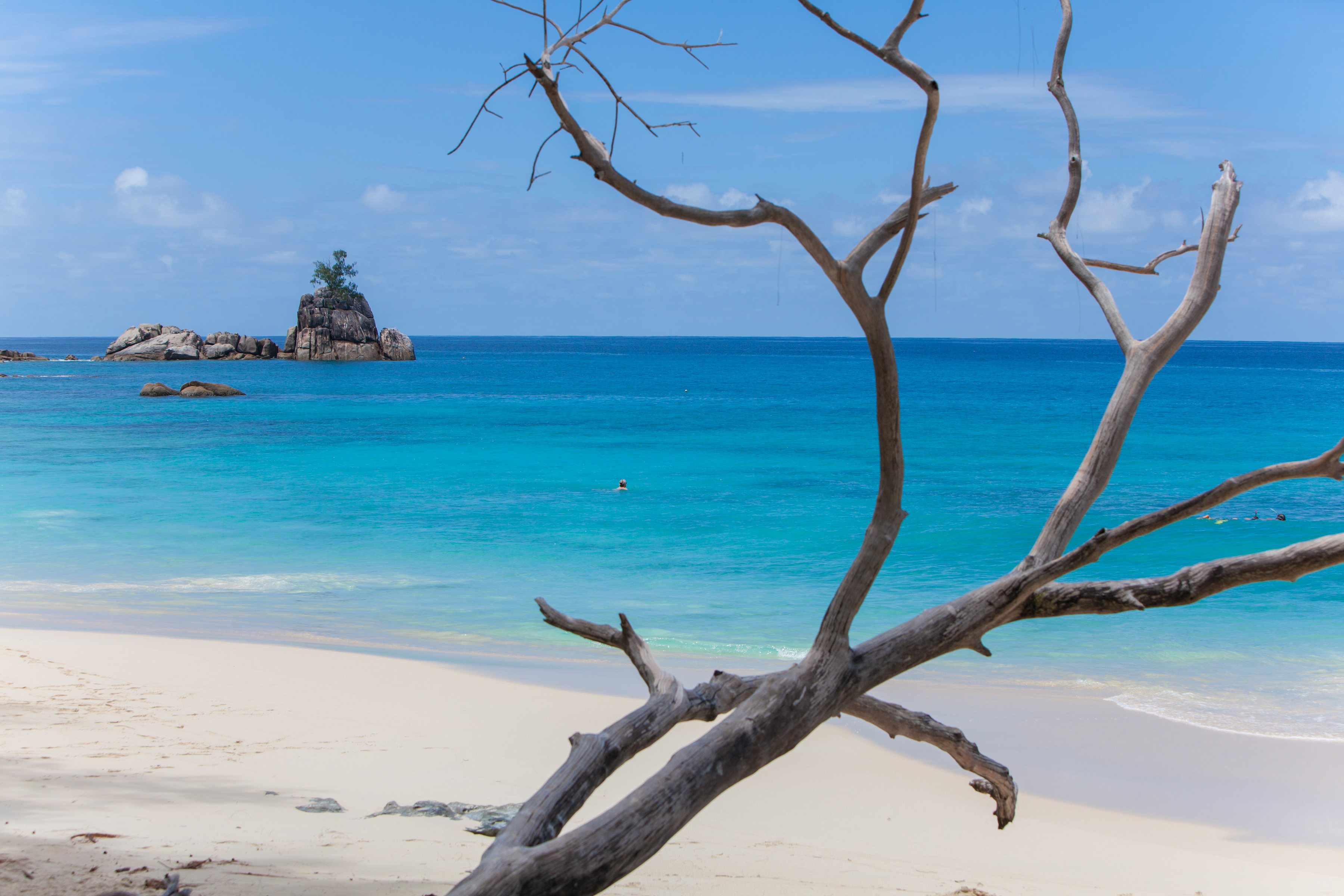 Anse soleil beachcomber-The Beach.jpg