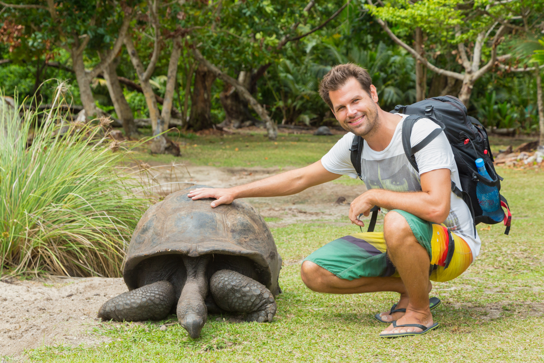 shutterstock_516712666 Aldabra giant tortoises, in National Marine Park on Curieuse island, close to Praslin.jpg