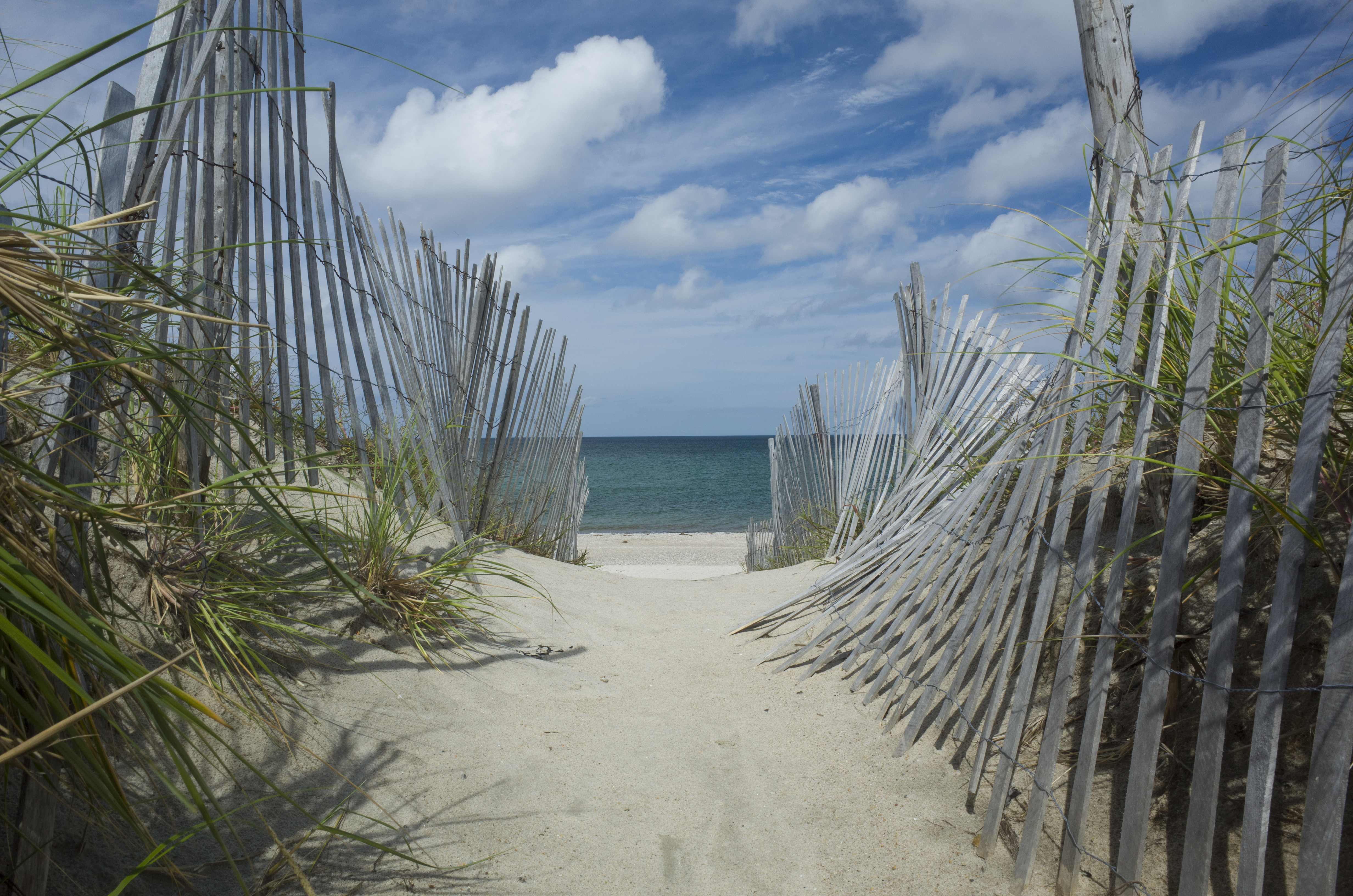 Shutterstock 729160846