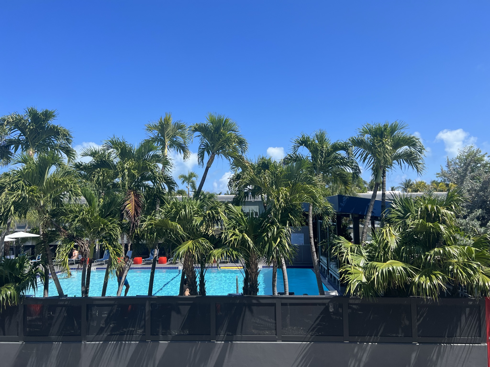 Blue Marlin Key West 7