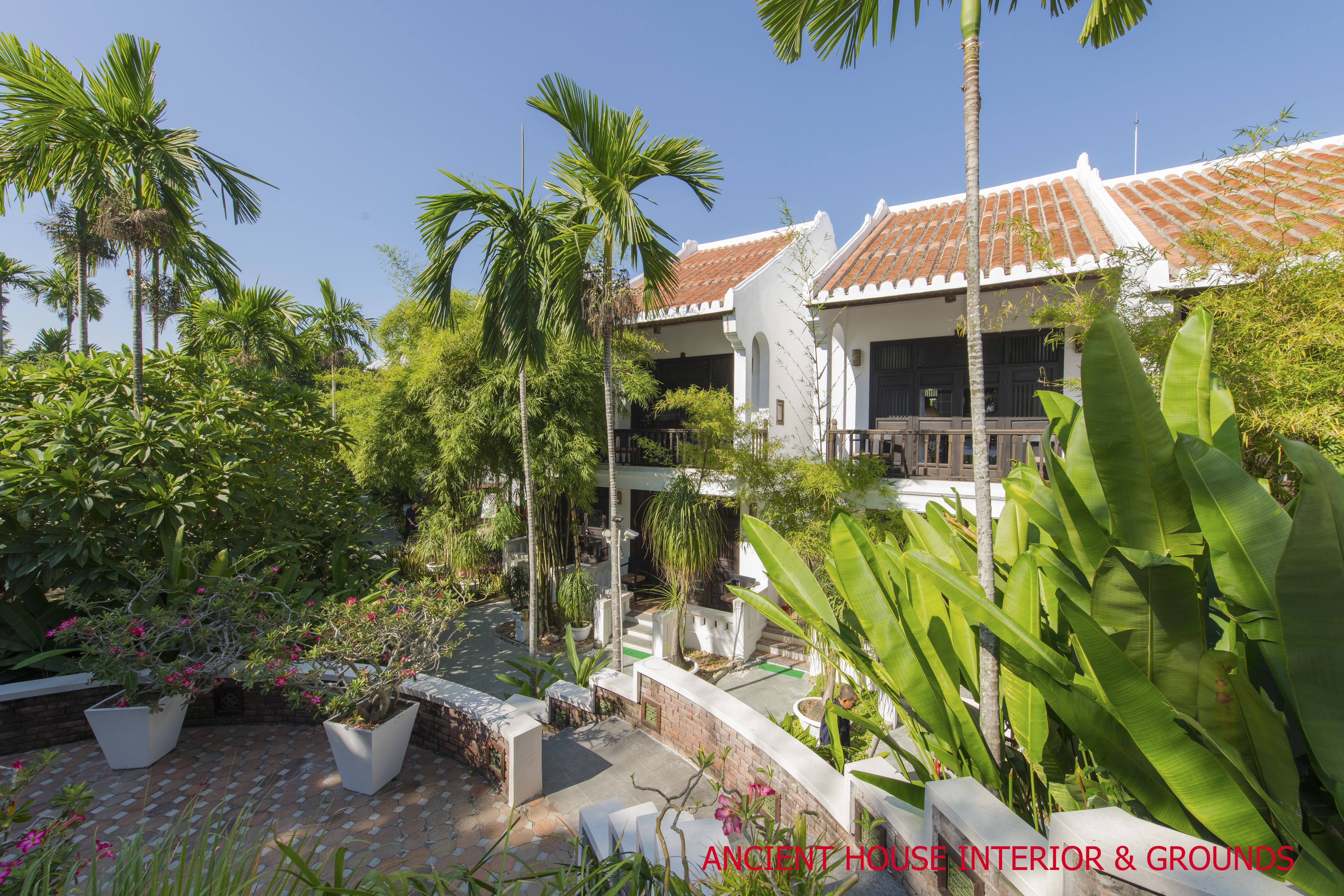 Hoi An Ancient House (5)