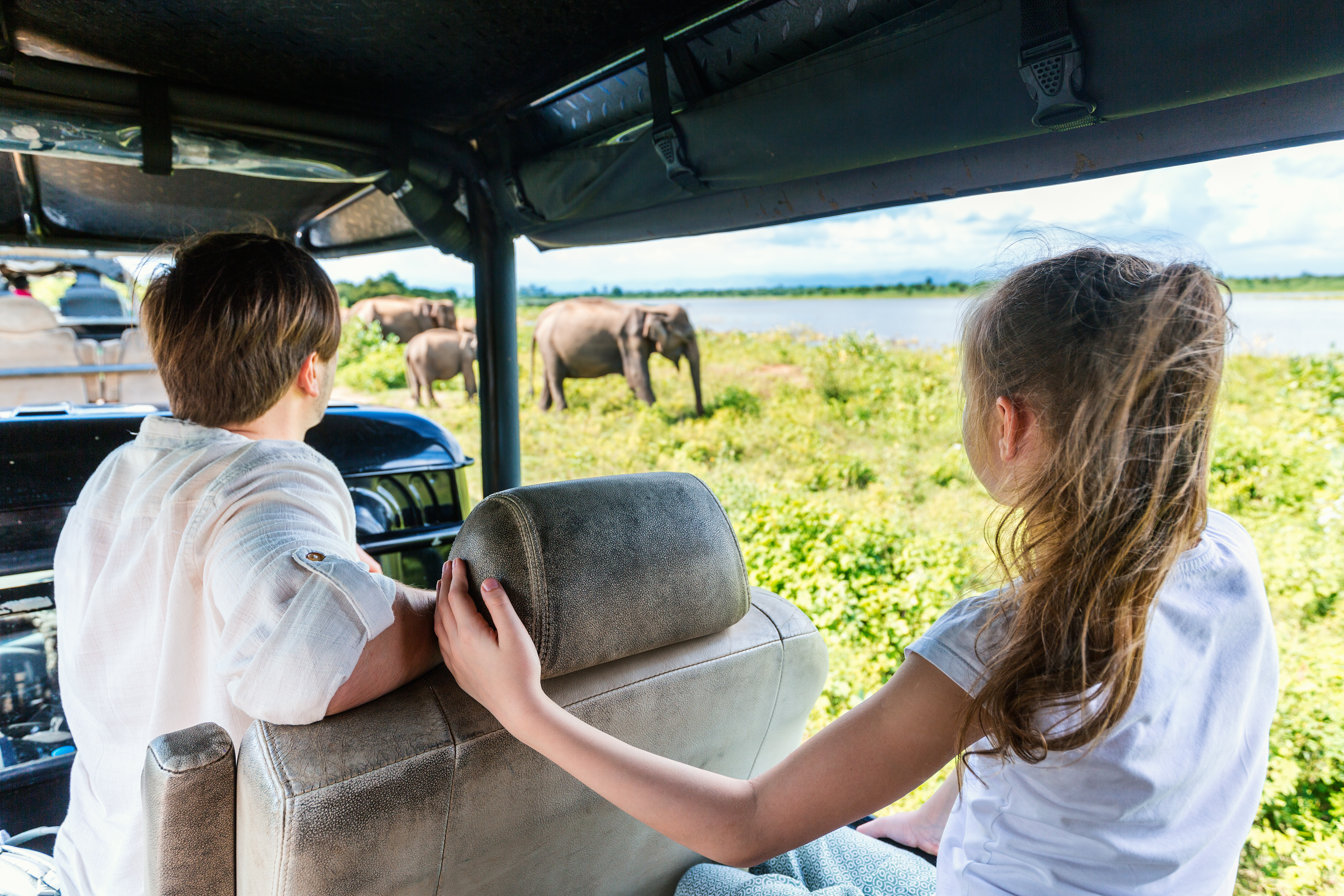 Shutterstock 1027016905 (Family Of Father And Daughter Watching Elephants At Udawalawe National Park In Sri Lanka)