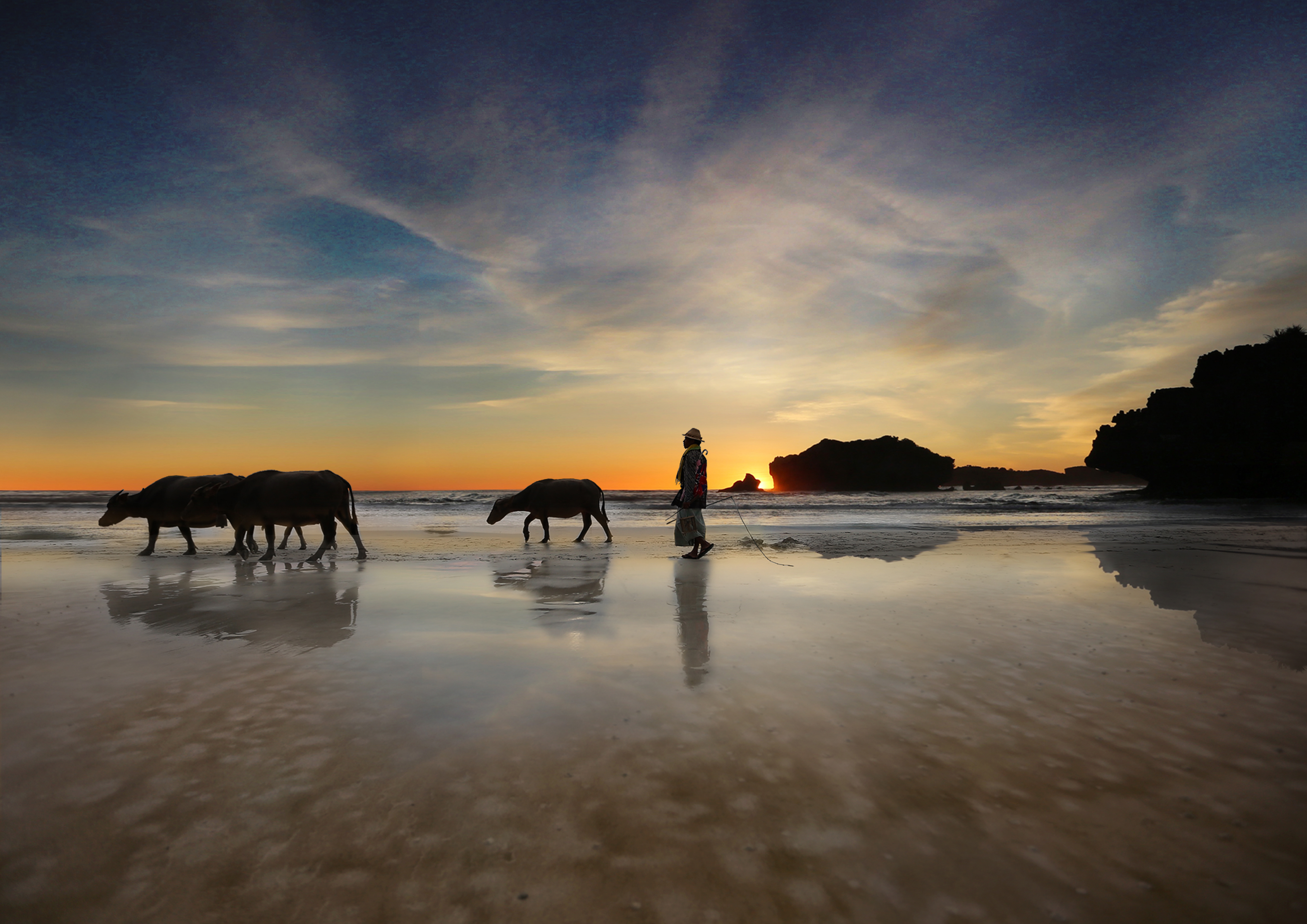 Selong Beach Lombok Bøfler Shutterstock 1281335182