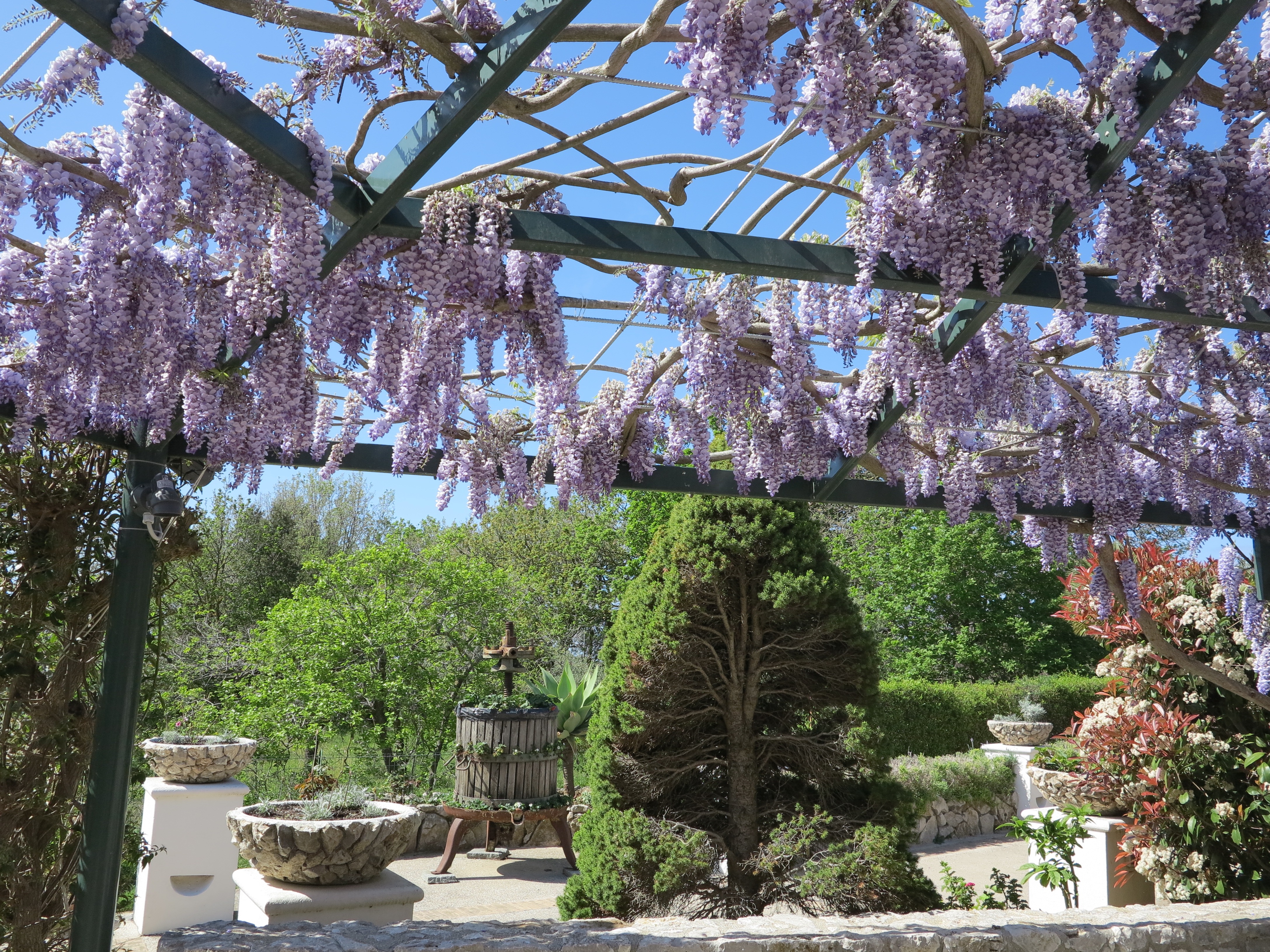 Hotel Al Mulino Anacapri Gazebo Con Glicine