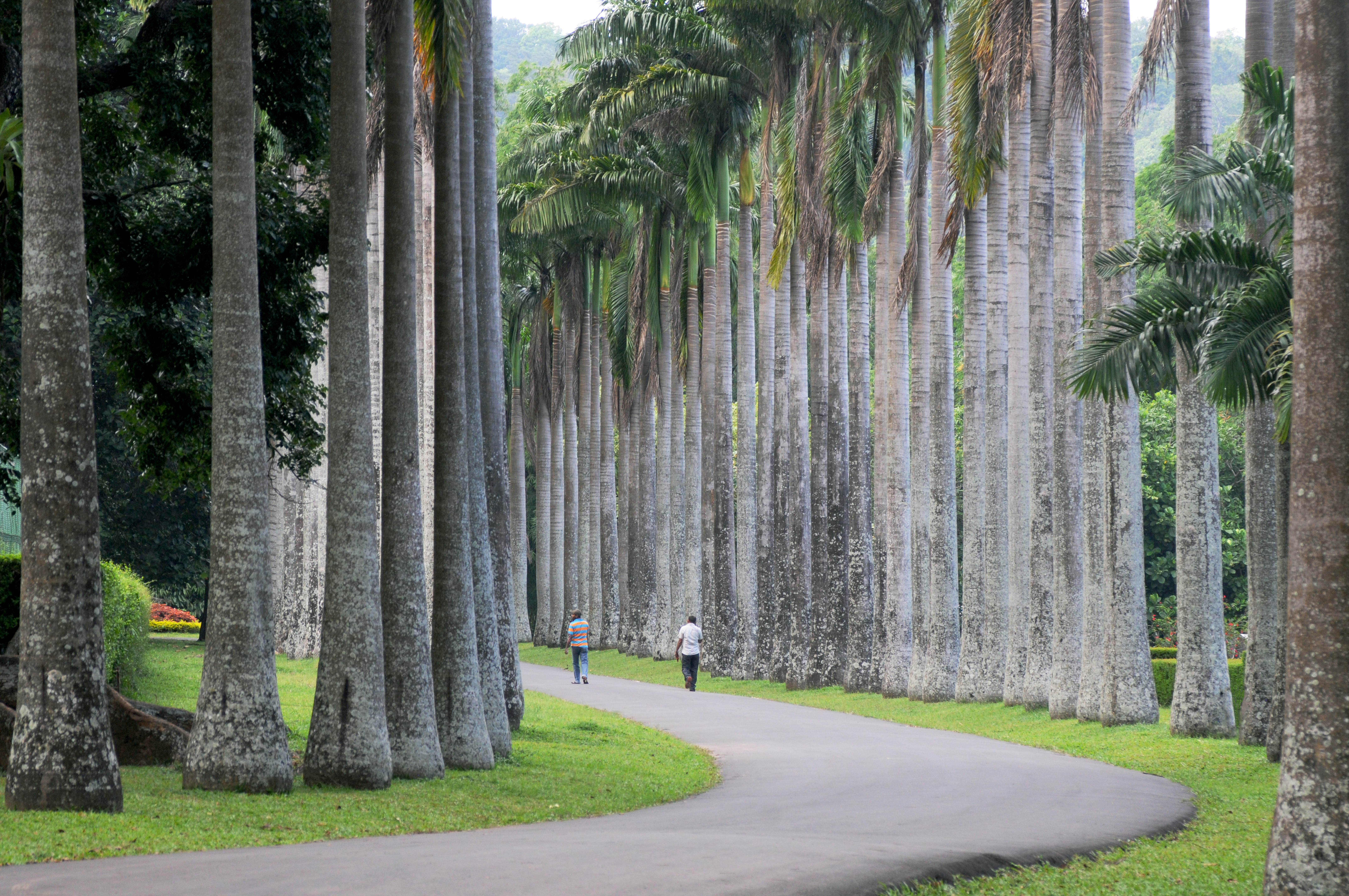 Shutterstock 377099026