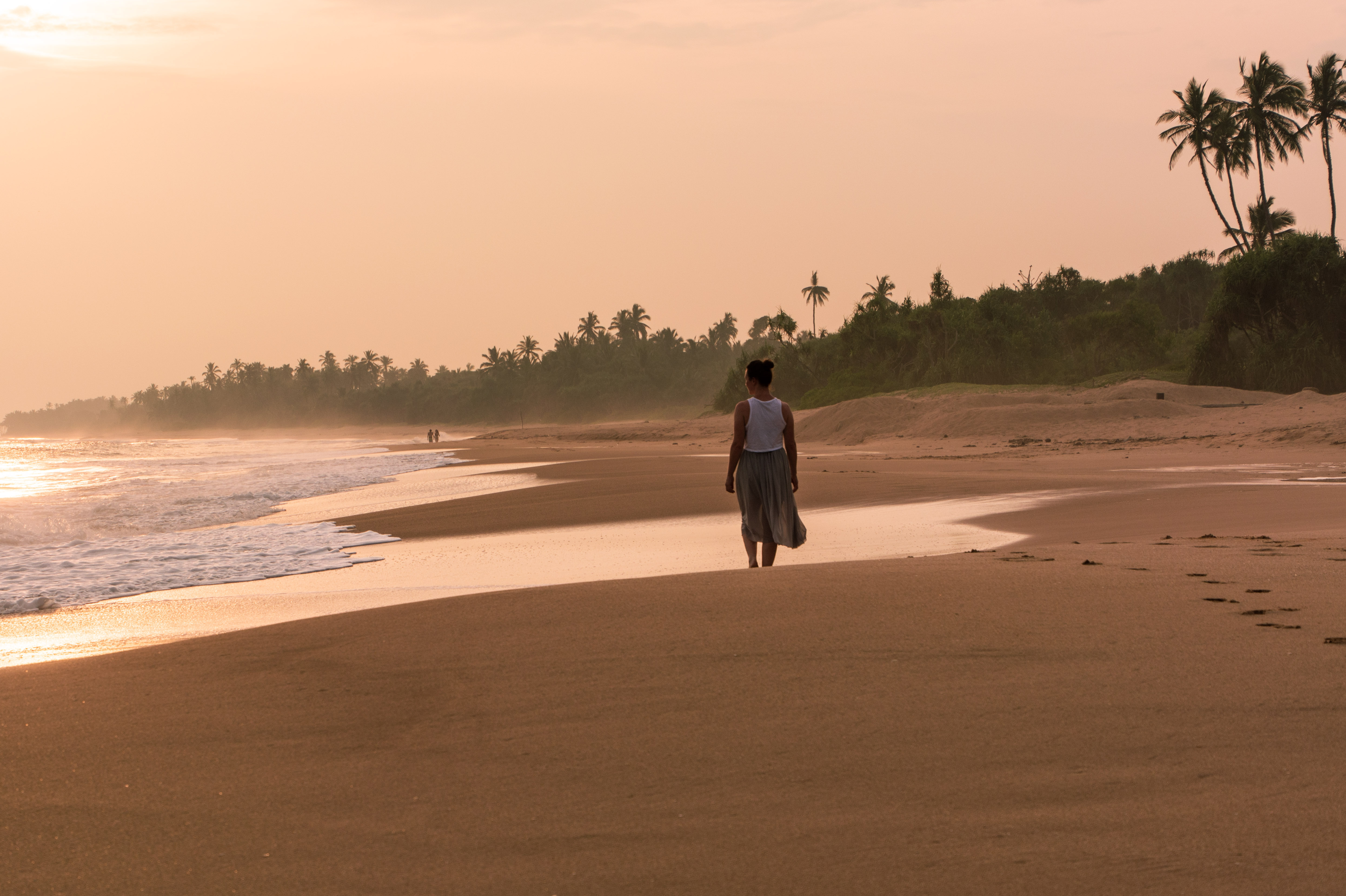 Adobestock 407067321