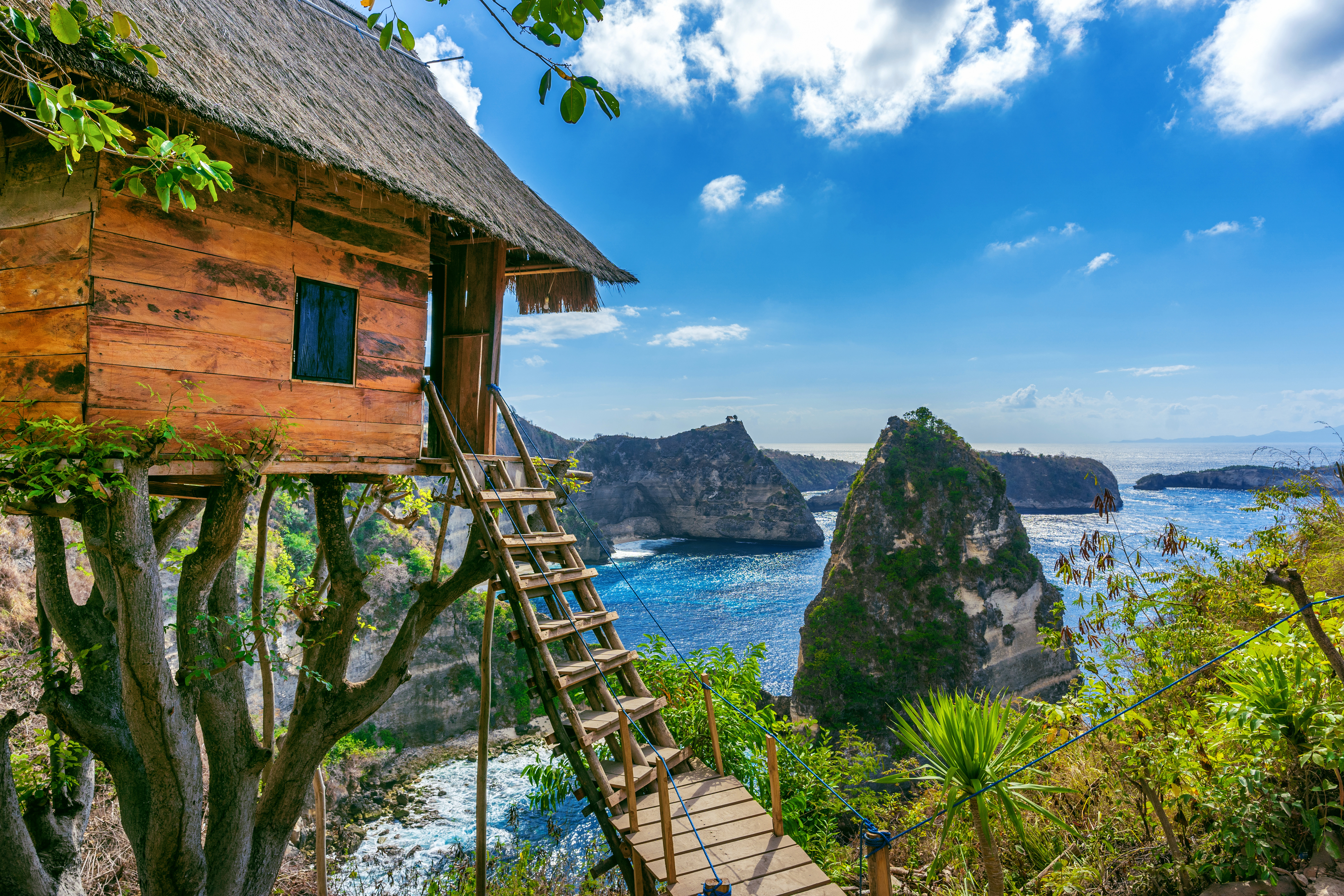 Shutterstock 1506823037 (Tree House And Diamond Beach In Nusa Penida Island, Bali In Indonesia.)