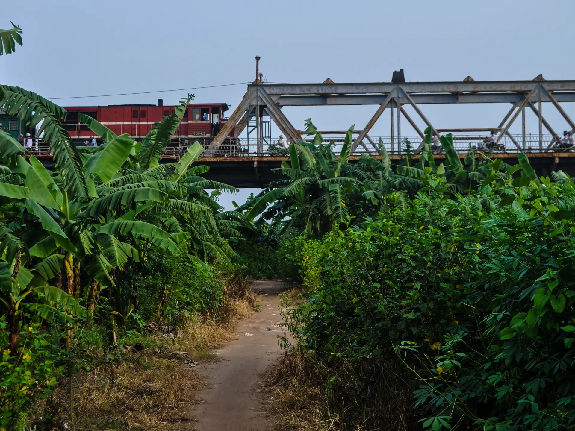 Shutterstock 774666835