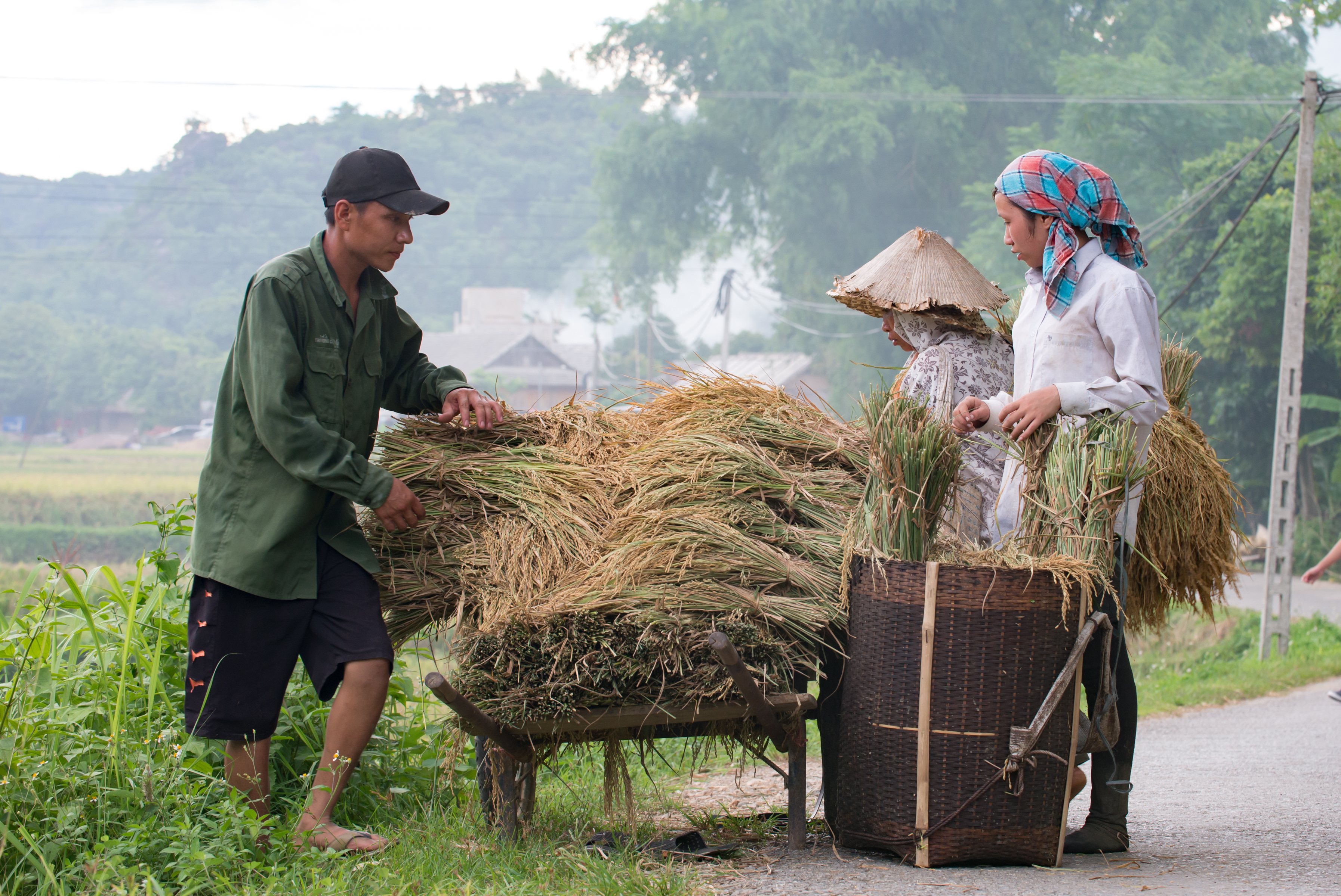 Shutterstock 444608842